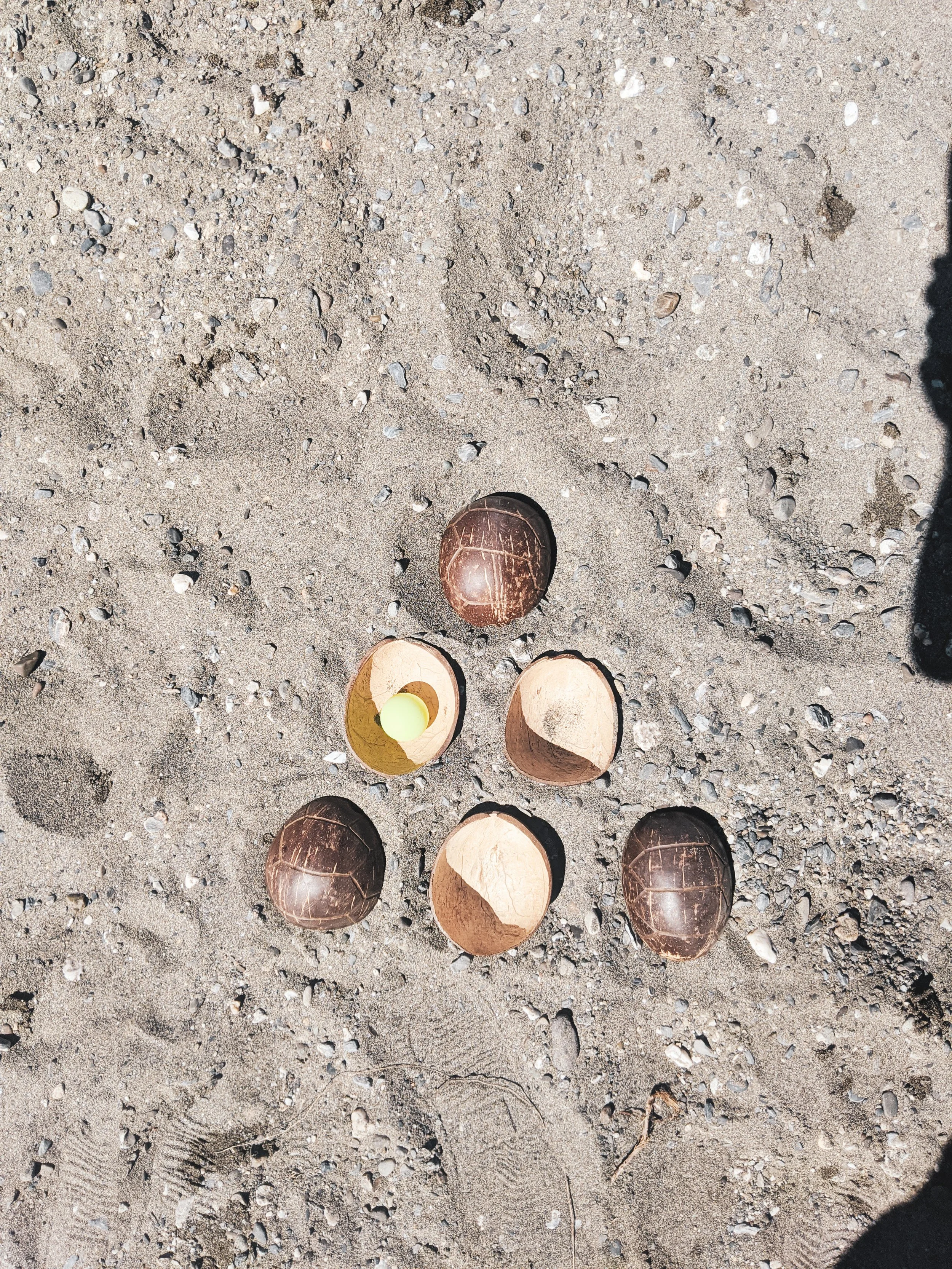 image_123650291 (16).JPG