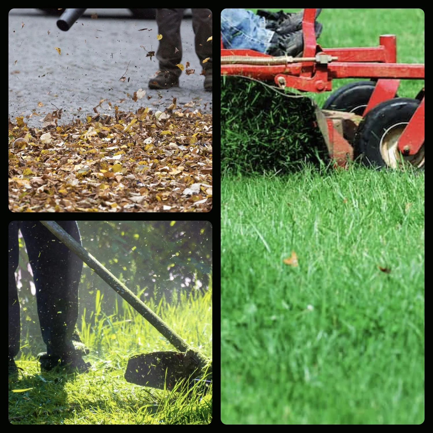 Blade Runners Lawn Services