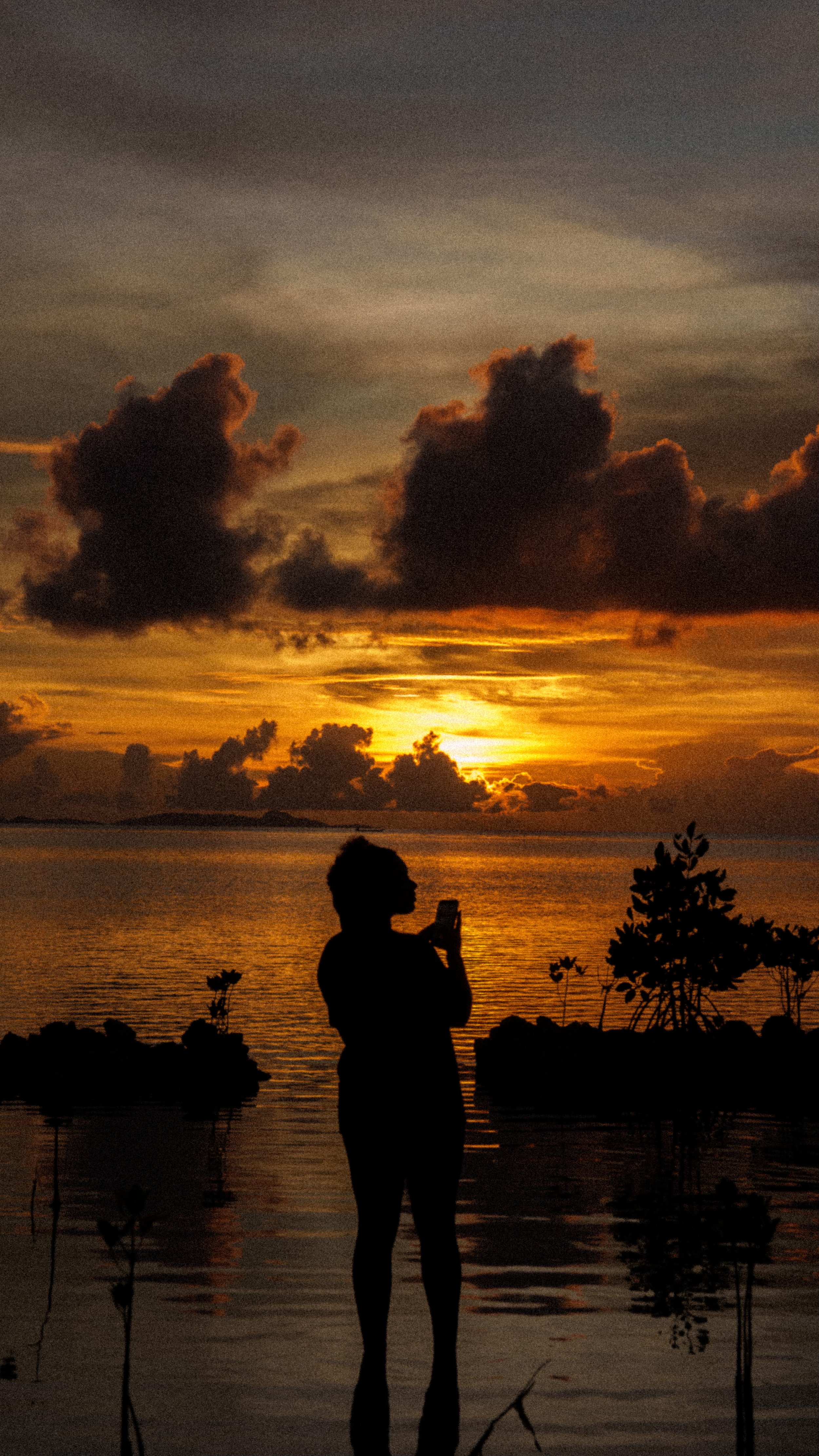 Genece_Raja_Elise Gibbins.jpeg