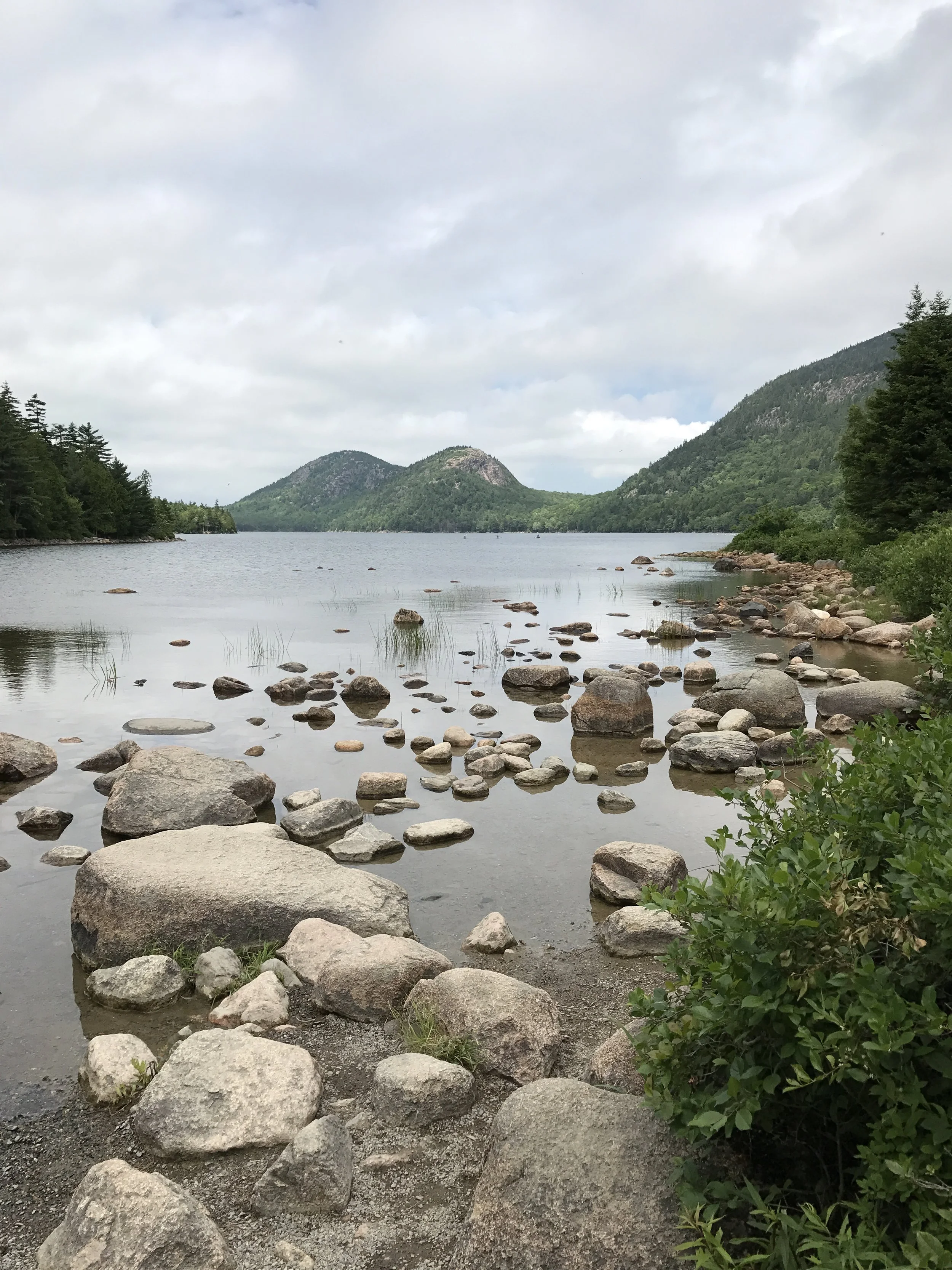 In the Early  Days of Grief