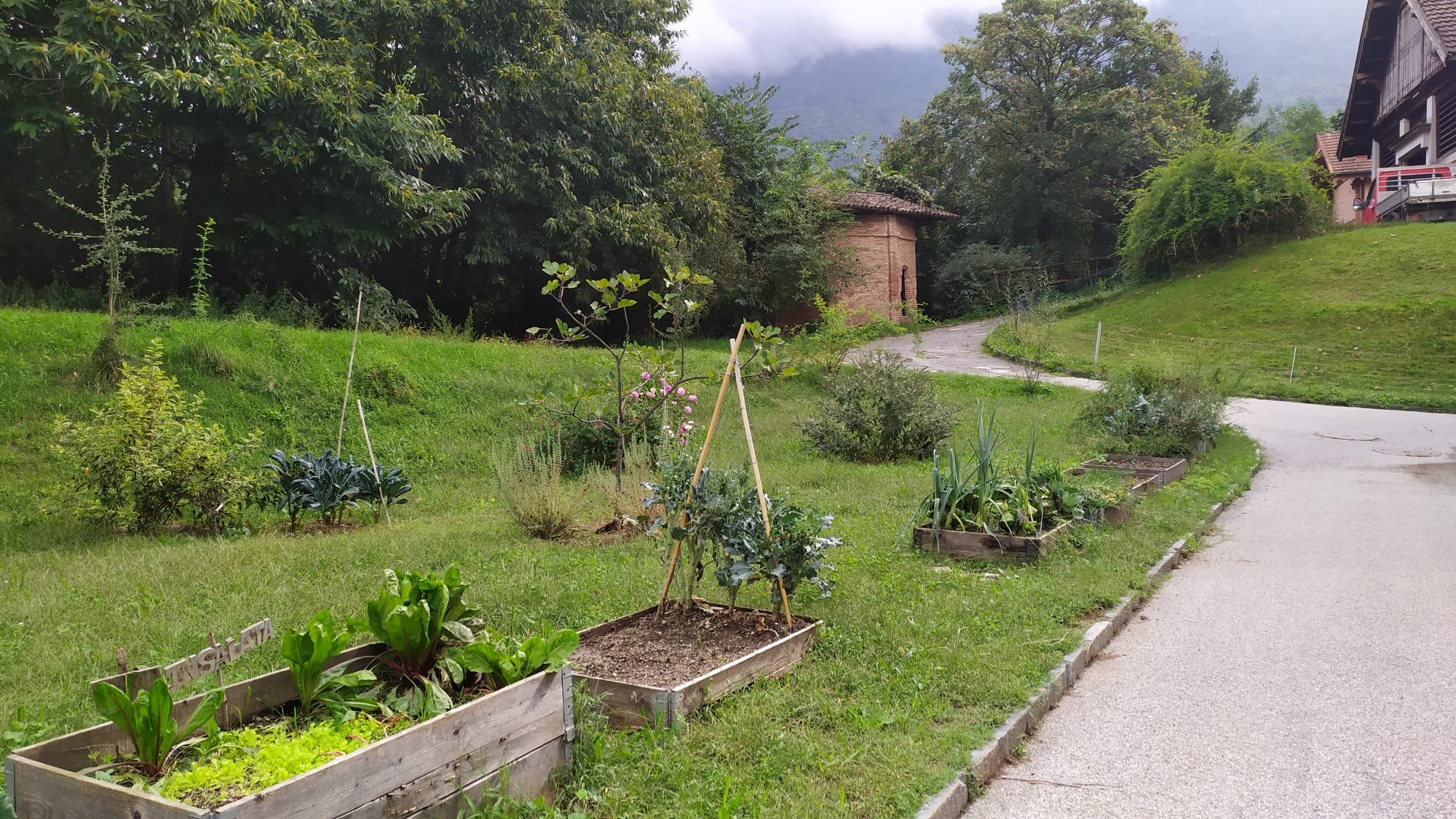 Orto a cassoni Scuola media di Canobio.jpg