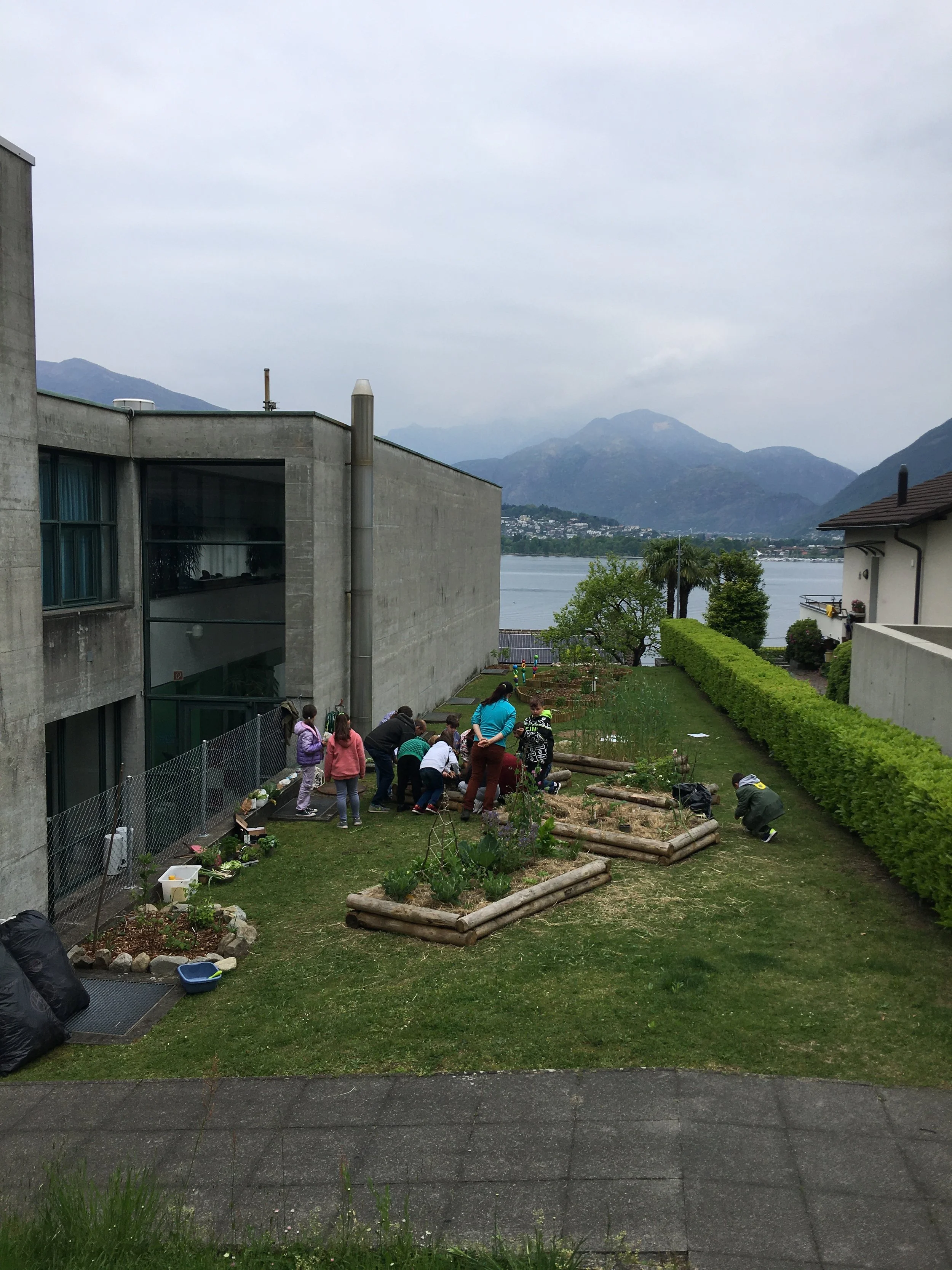 Orto a cassoni SE San Nazzaro.JPG