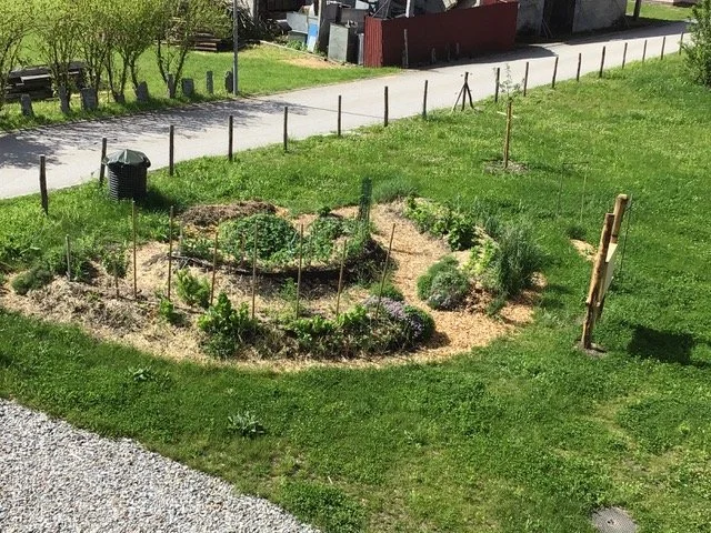 Orto didattico permaculturale alla scuola elementare di Cresciano.jpeg