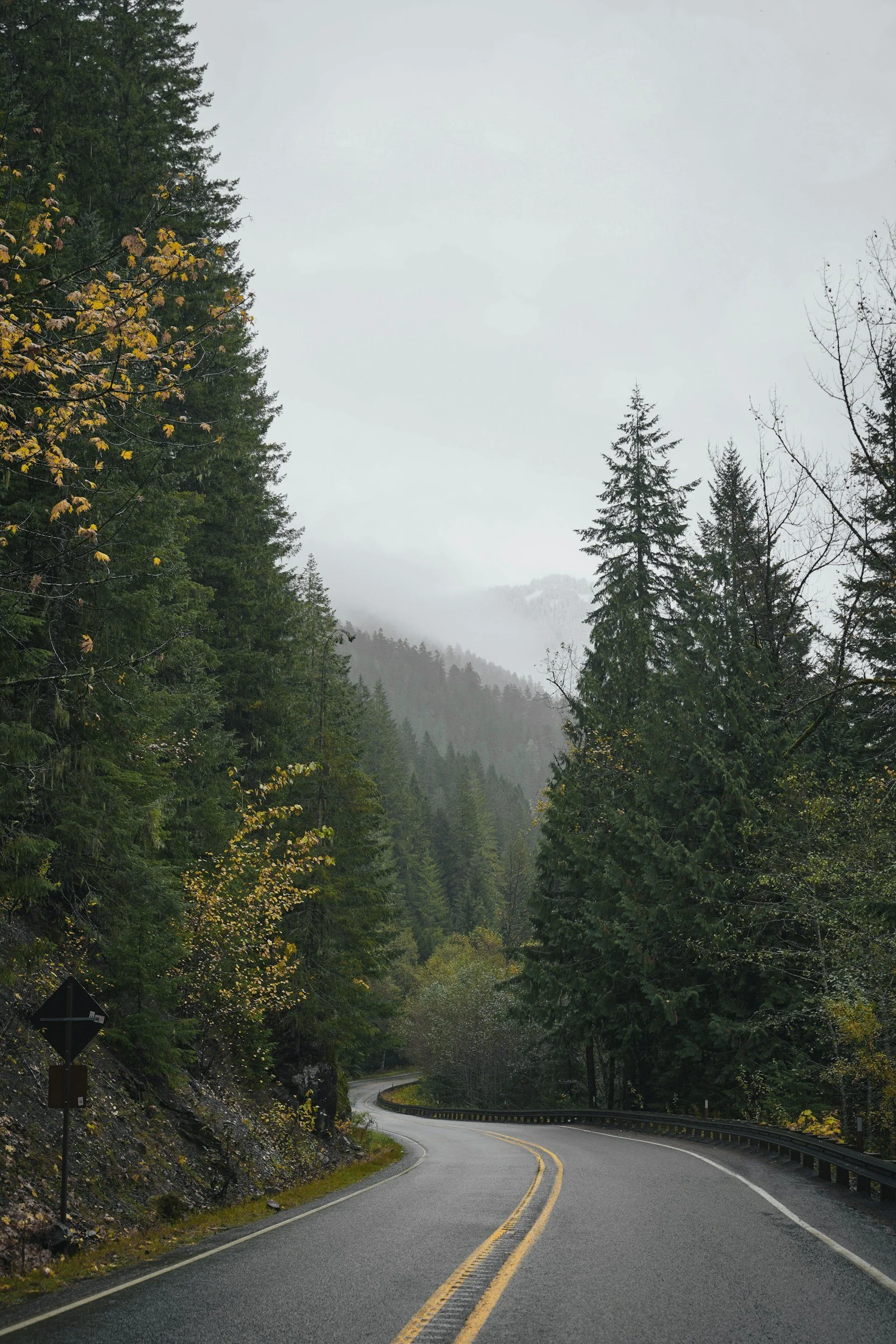 Winding mountain road through a dense forest with tall trees and fog in the background.