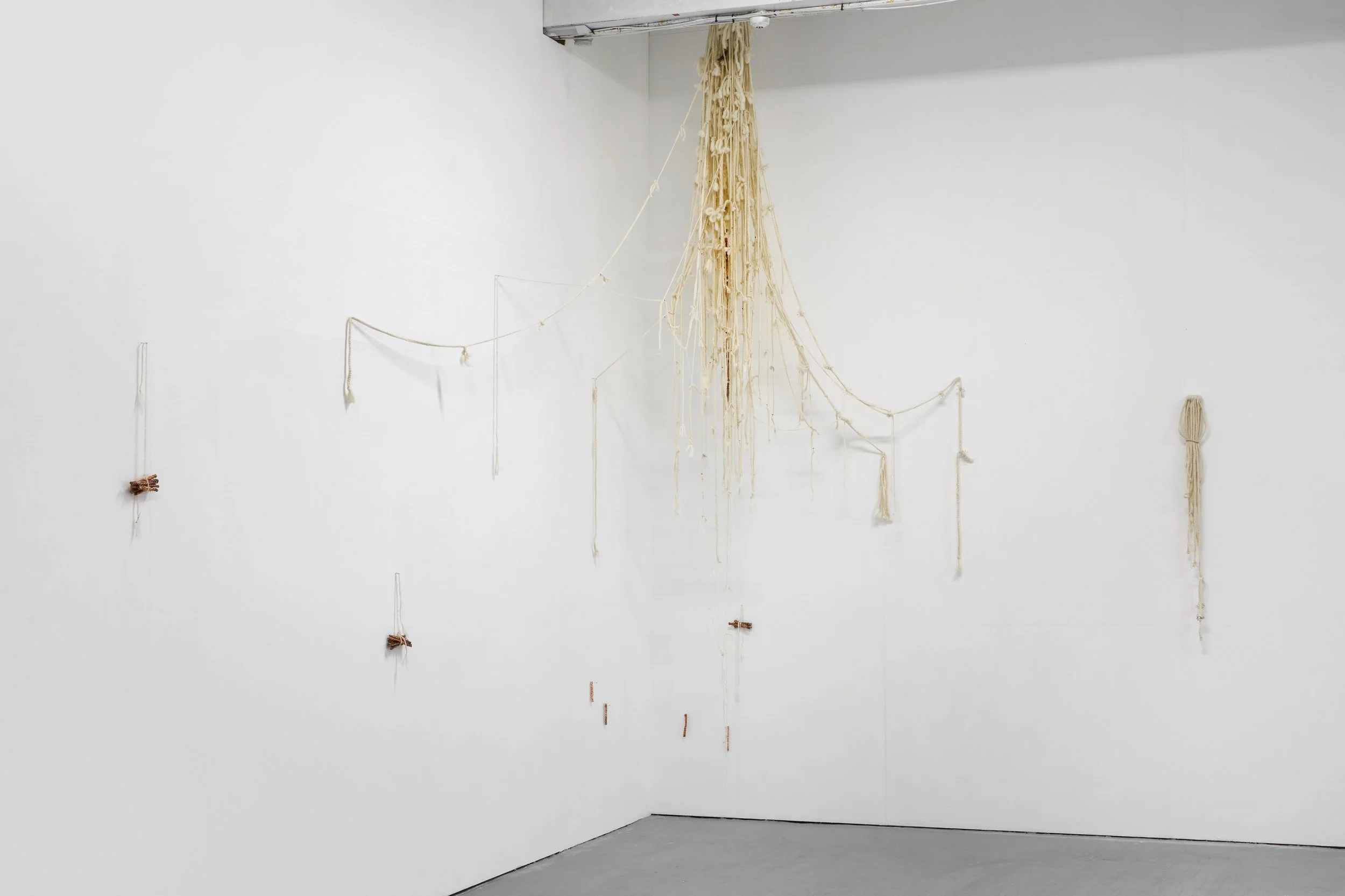 Liv Jarman-0480-1.jpg