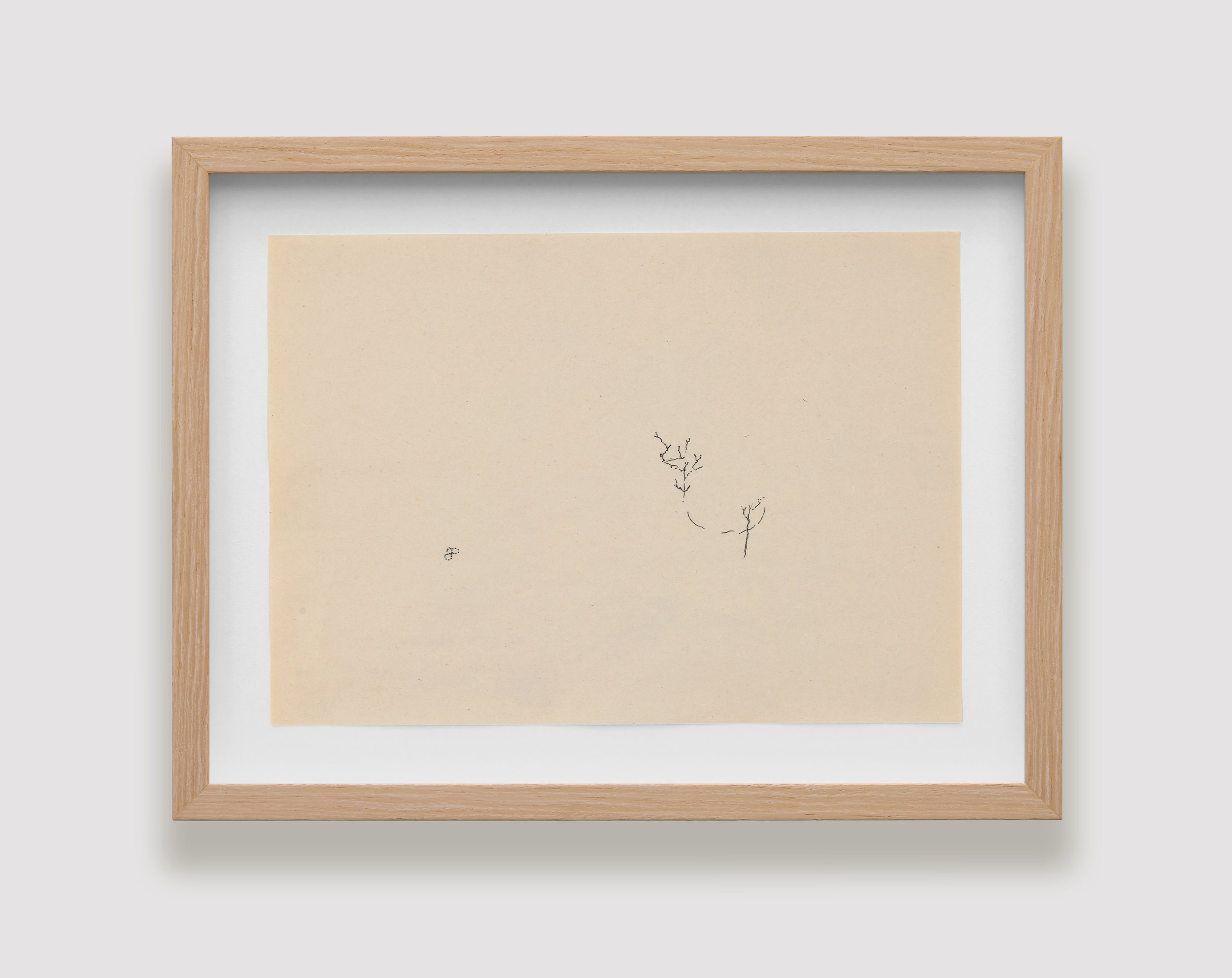 Liv Jarman-0422-1.jpg