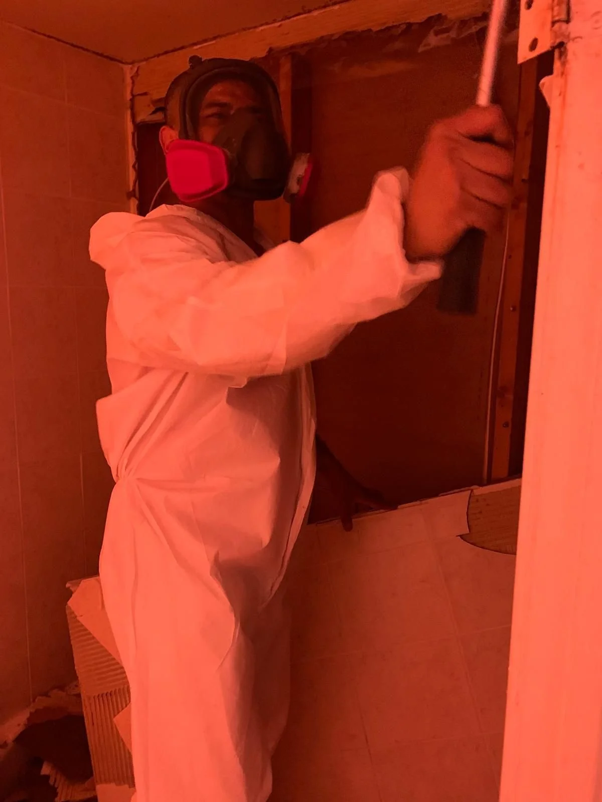 Asbestos