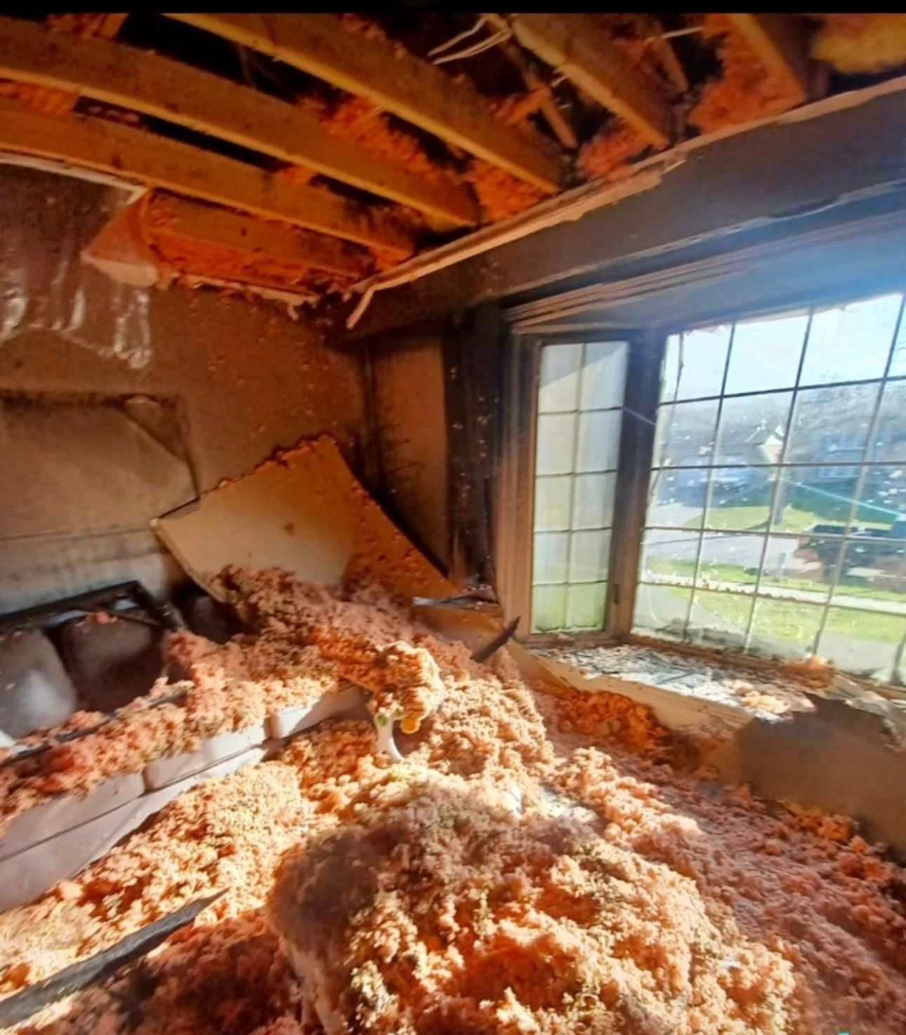Fire Restoration