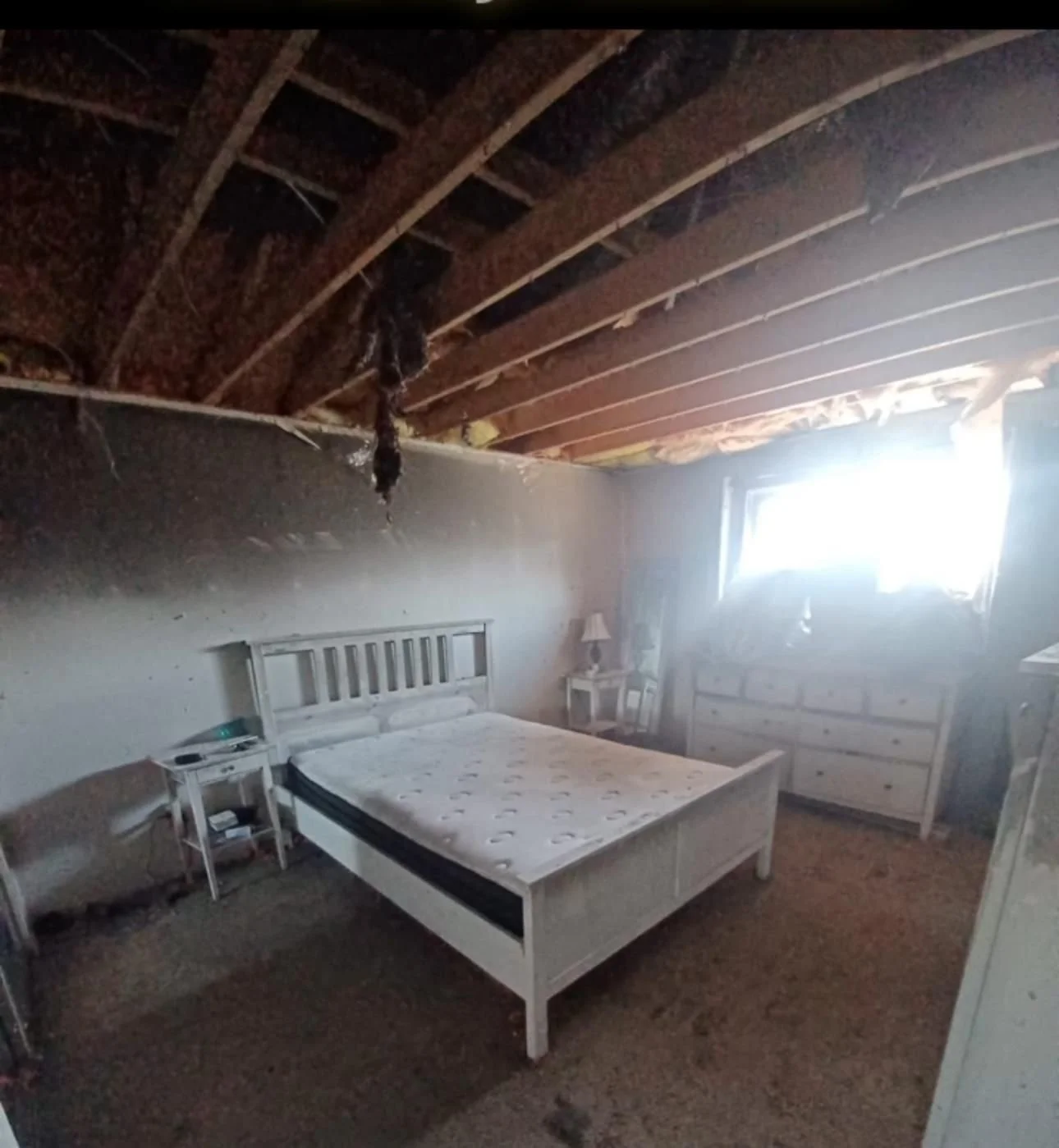 Fire Restoration