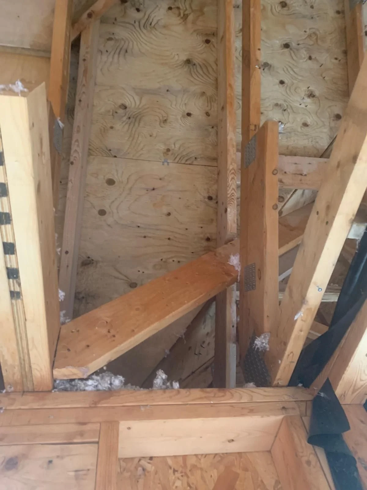 Mold Restoration