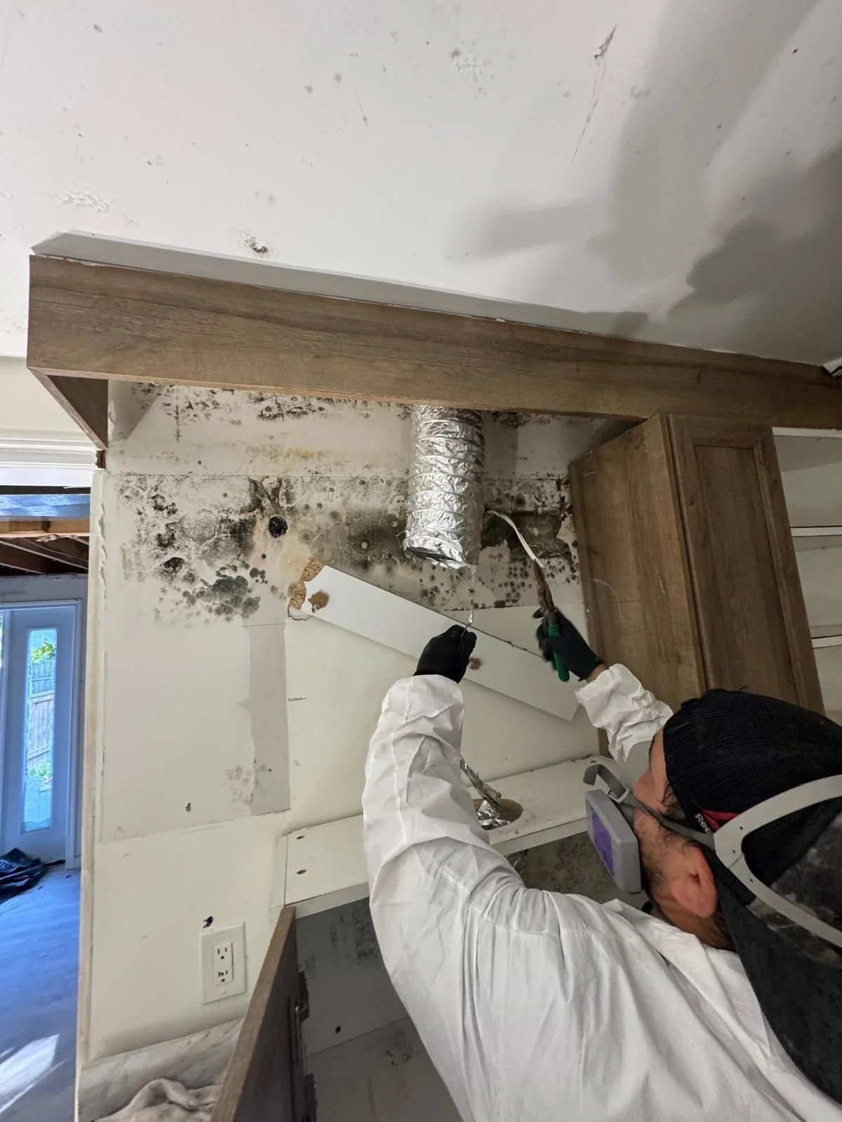 Mold Restoration