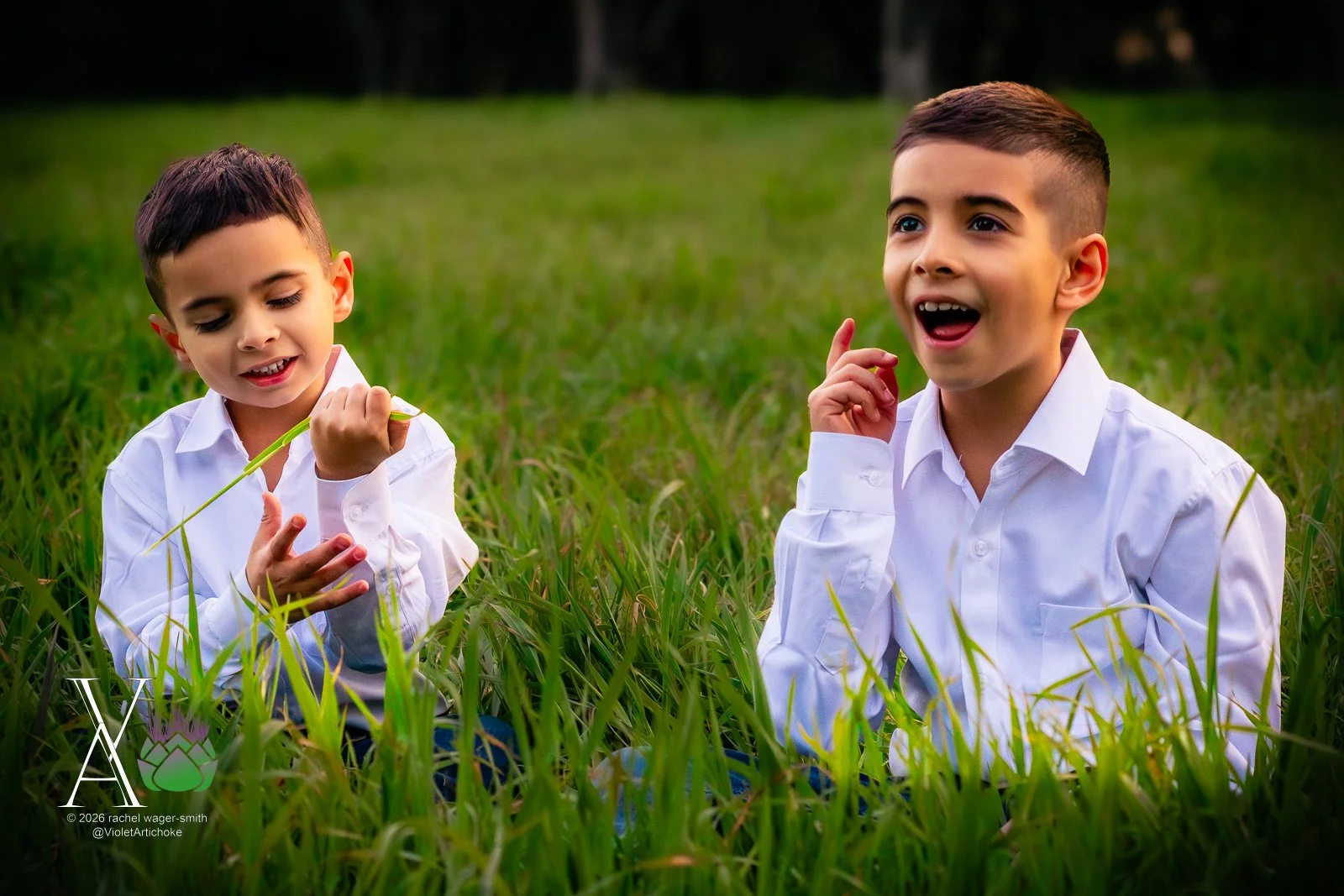 Violet-Artichoke-Portrait-Silvas-52.JPG