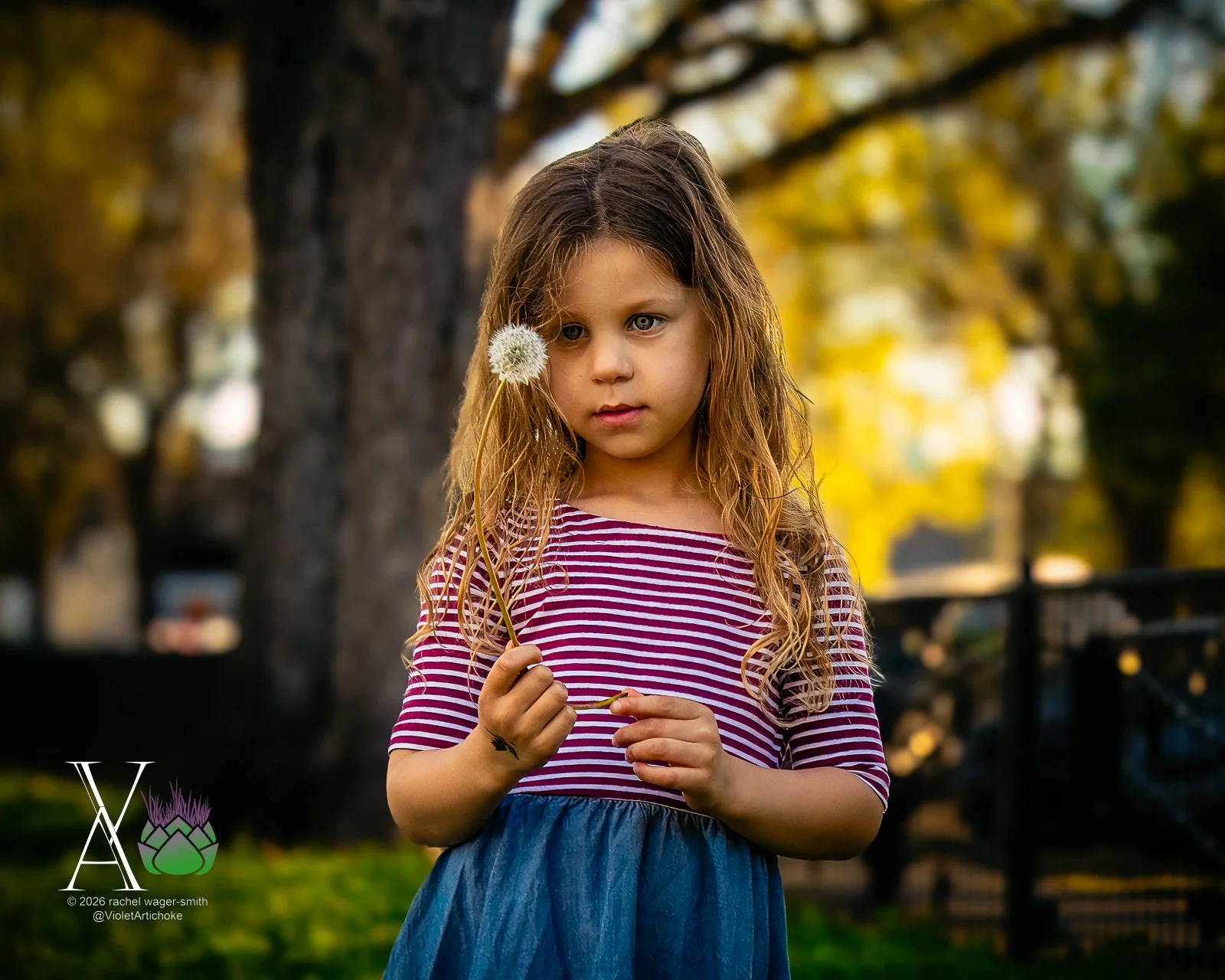 Violet-Artichoke-Portrait-Sample-Braggs-3.JPG