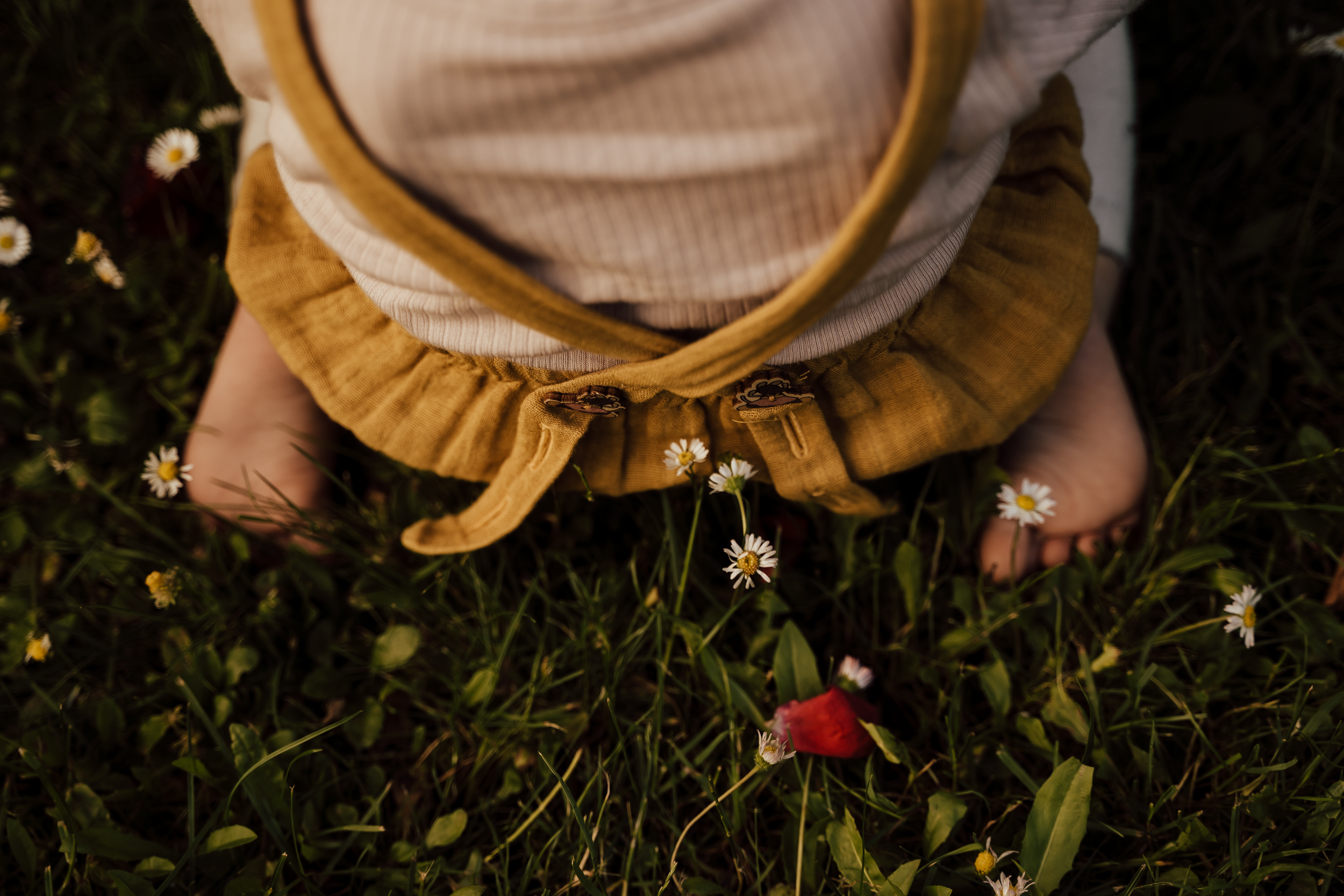 Top-down view of a child standing in grass surrounded by small daisies and a rose petal, wearing tan pants and a striped shirt.