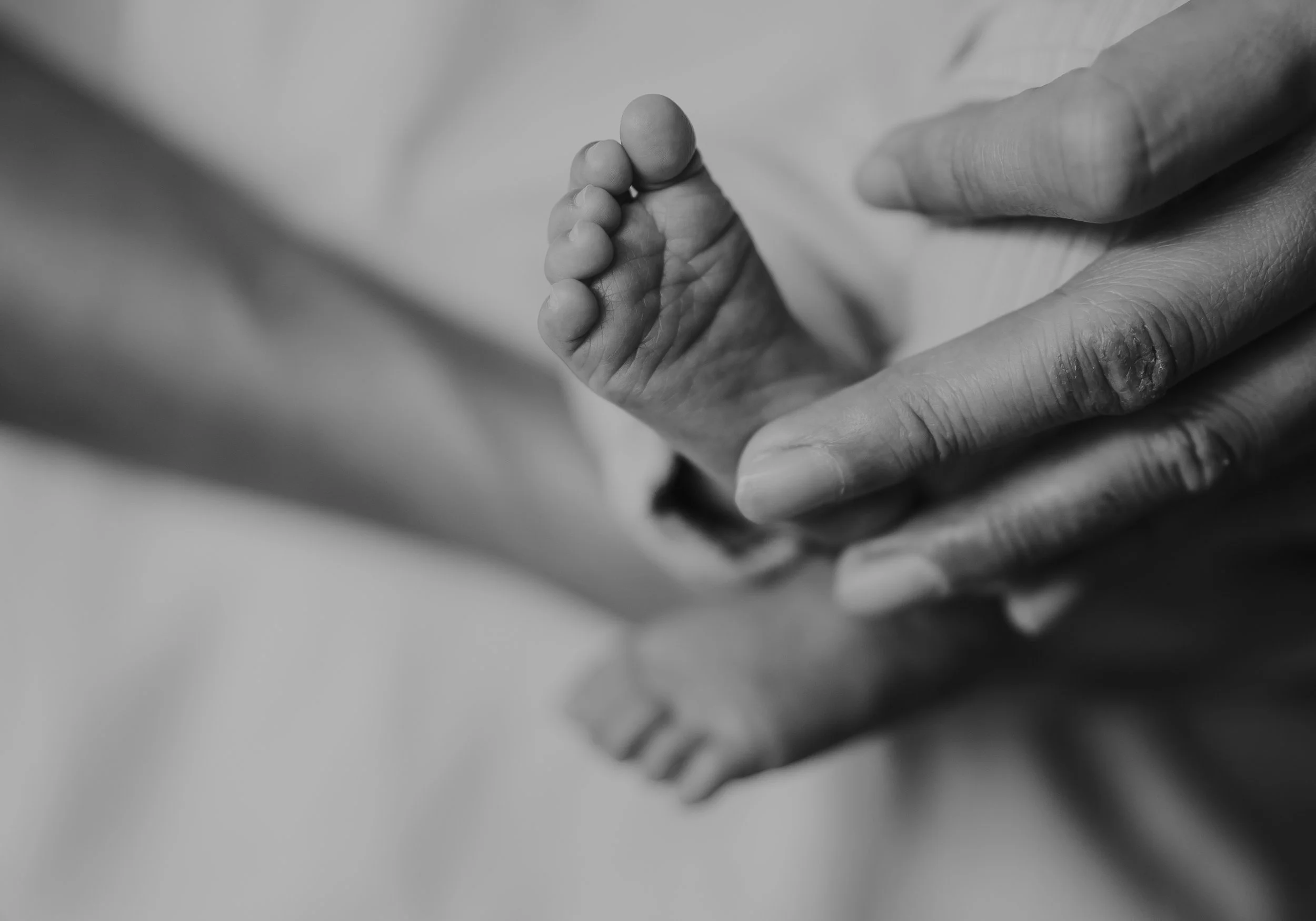 Close-up of a newborn baby's tiny hand gripping an adult's finger in black and white.