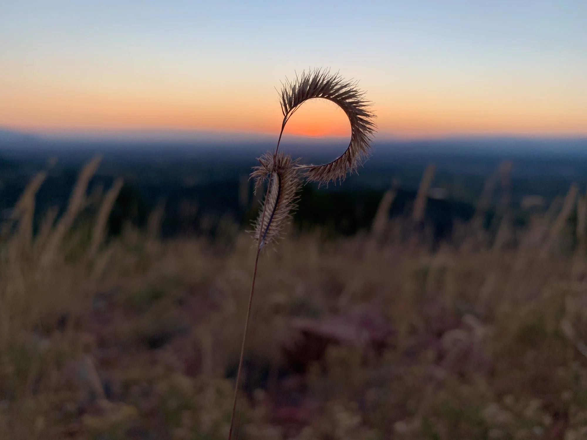 MOBILE HONORABLE MENTION: VIC WIENER - "Through the Looking Glass." I took this photo on the peak of Talaya Hill in Santa Fe. I hiked up to Talaya Hill to watch the sunset four or five times a week throughout the late summer and fall of 2024 as I con