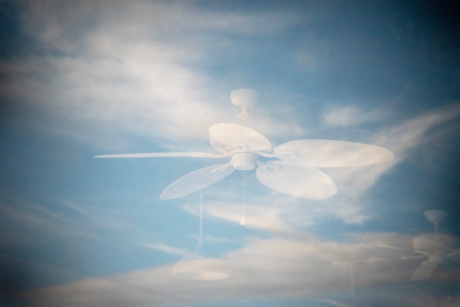 Sherry Hayne - "In the Clouds"