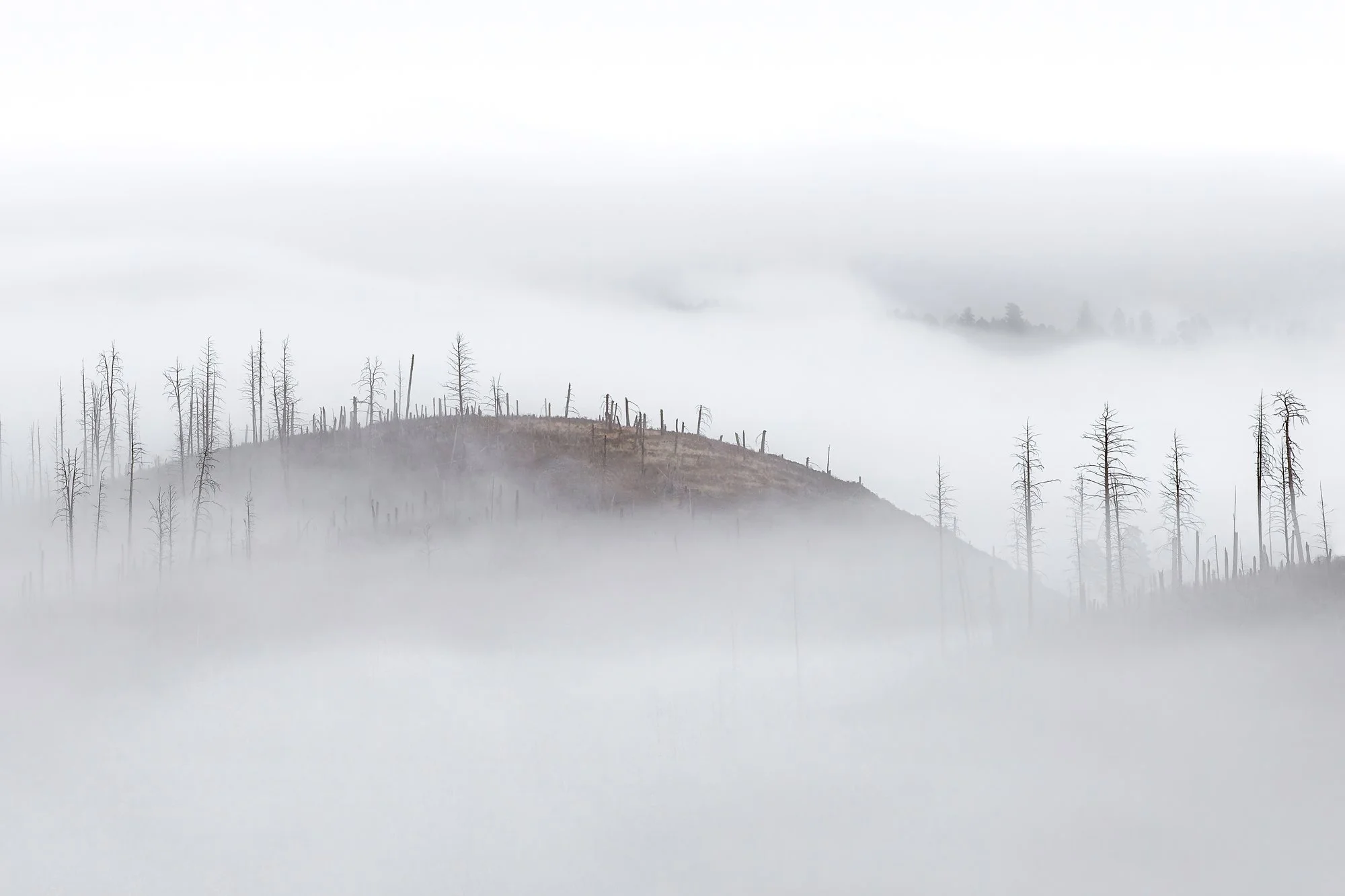 LANDSCAPE HONORABLE MENTION: DAVID TURNING - "Above the Fog." A winter arctic blast was forecast, so I headed up to the Sacramento Mountains hoping for some cool atmospheric conditions or maybe a snowstorm to photograph. I ended up in an area where a