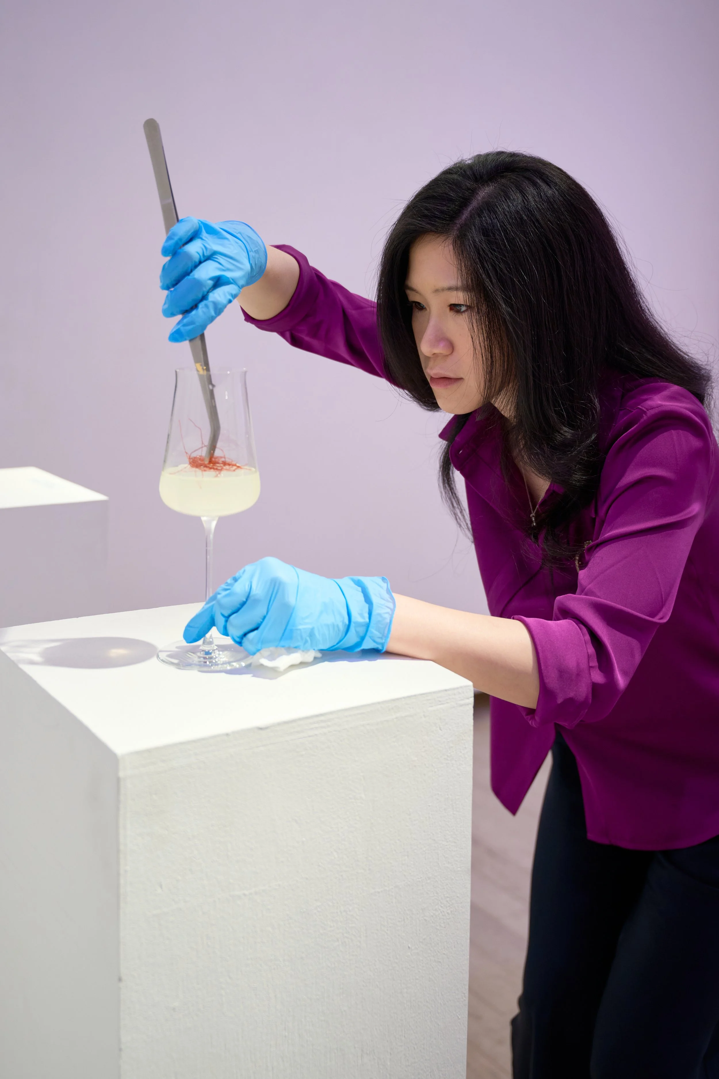 Gallery Exhibitions