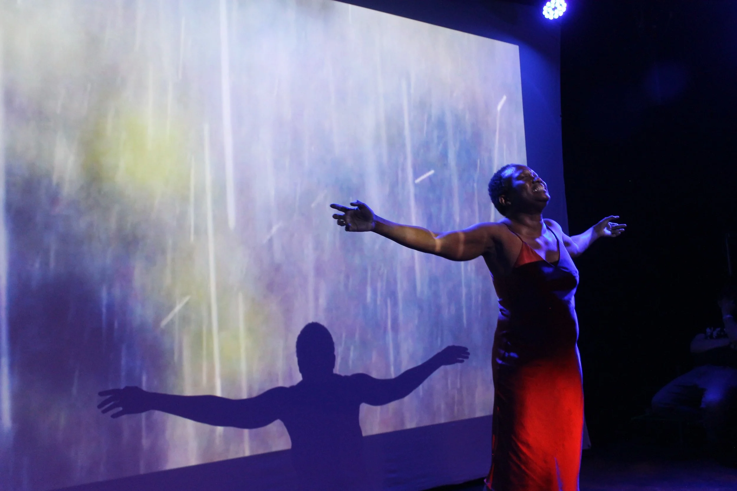 A woman in a red dress performing on stage with her arms outstretched and her shadow cast on the screen behind her.