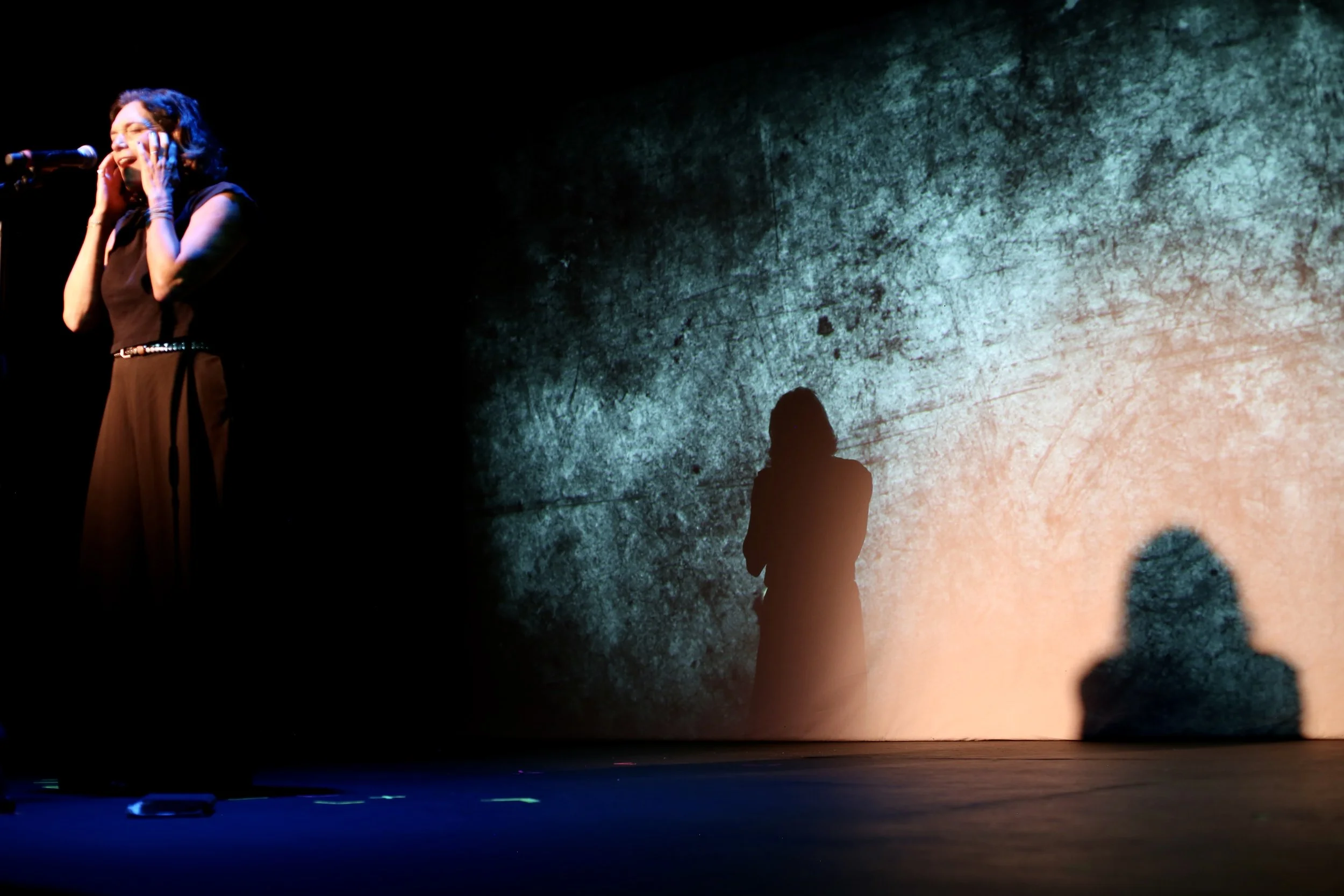 A woman on stage in front of a textured wall, with her shadow cast on the wall behind her.