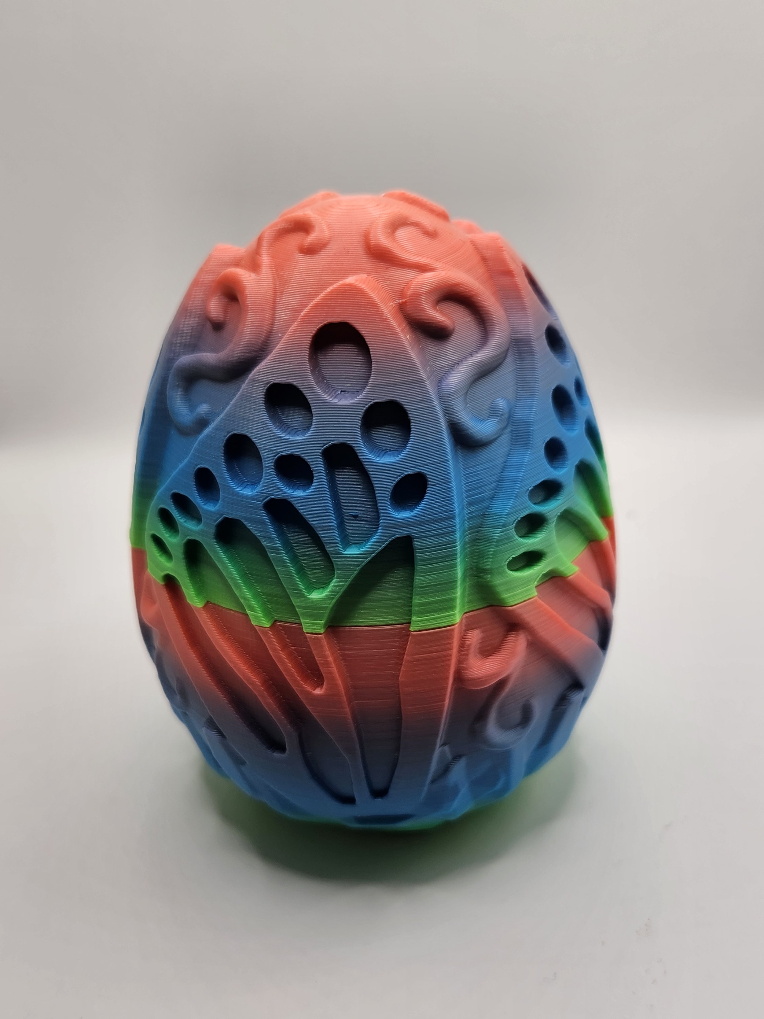 Butterfly egg rainbow.jpg