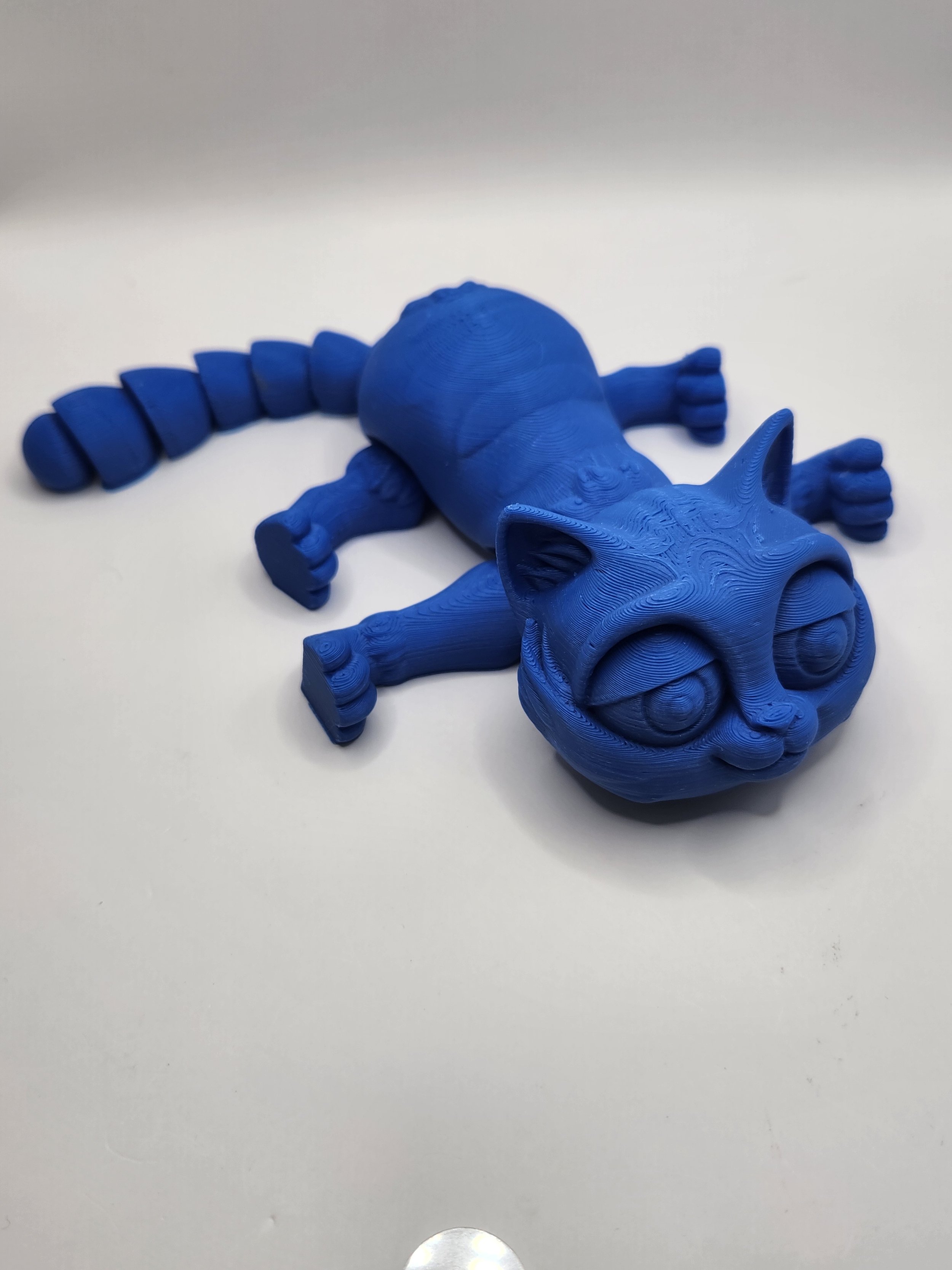 Cat Blue.jpg