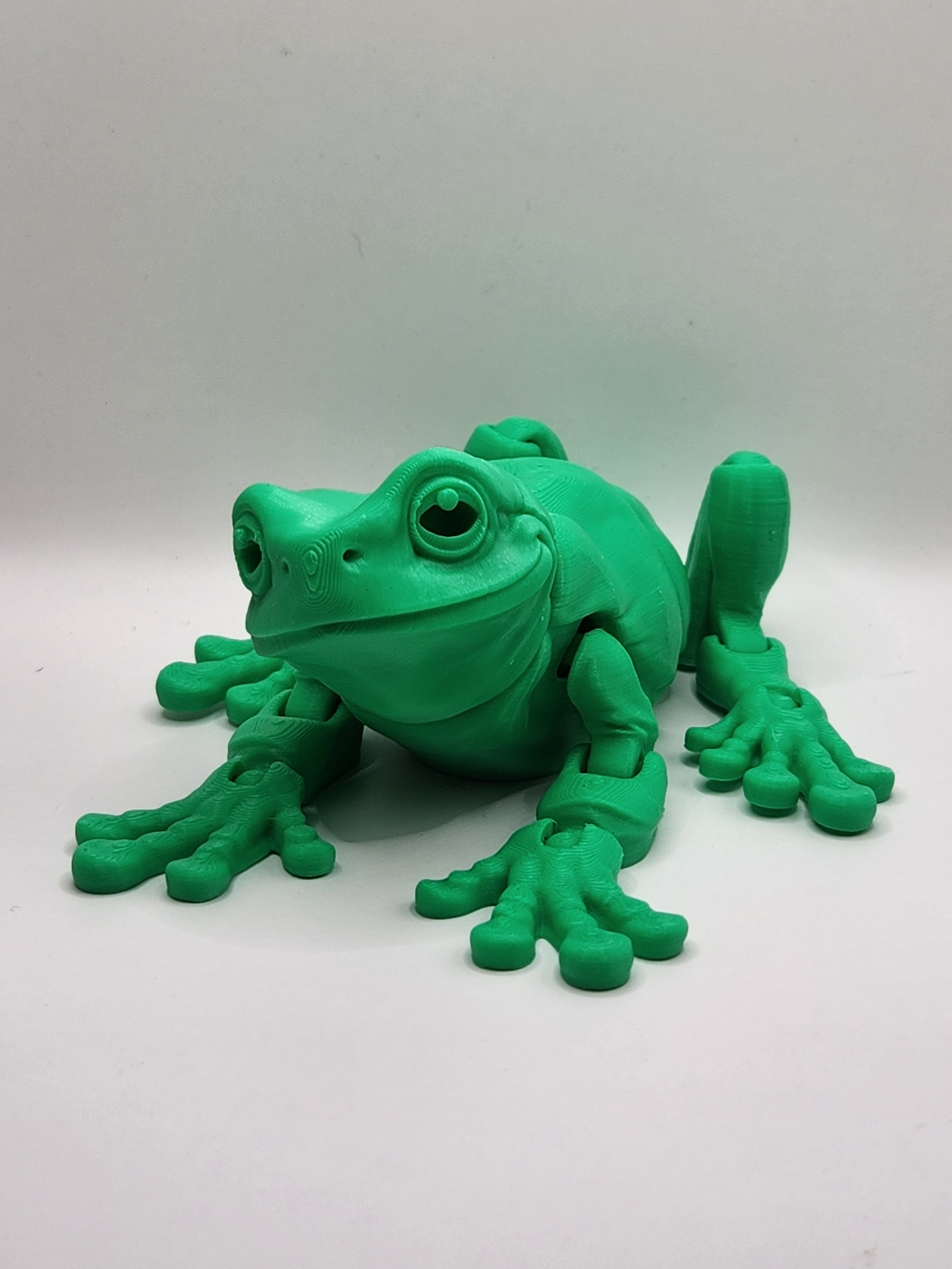 Bull Frog 2.jpg