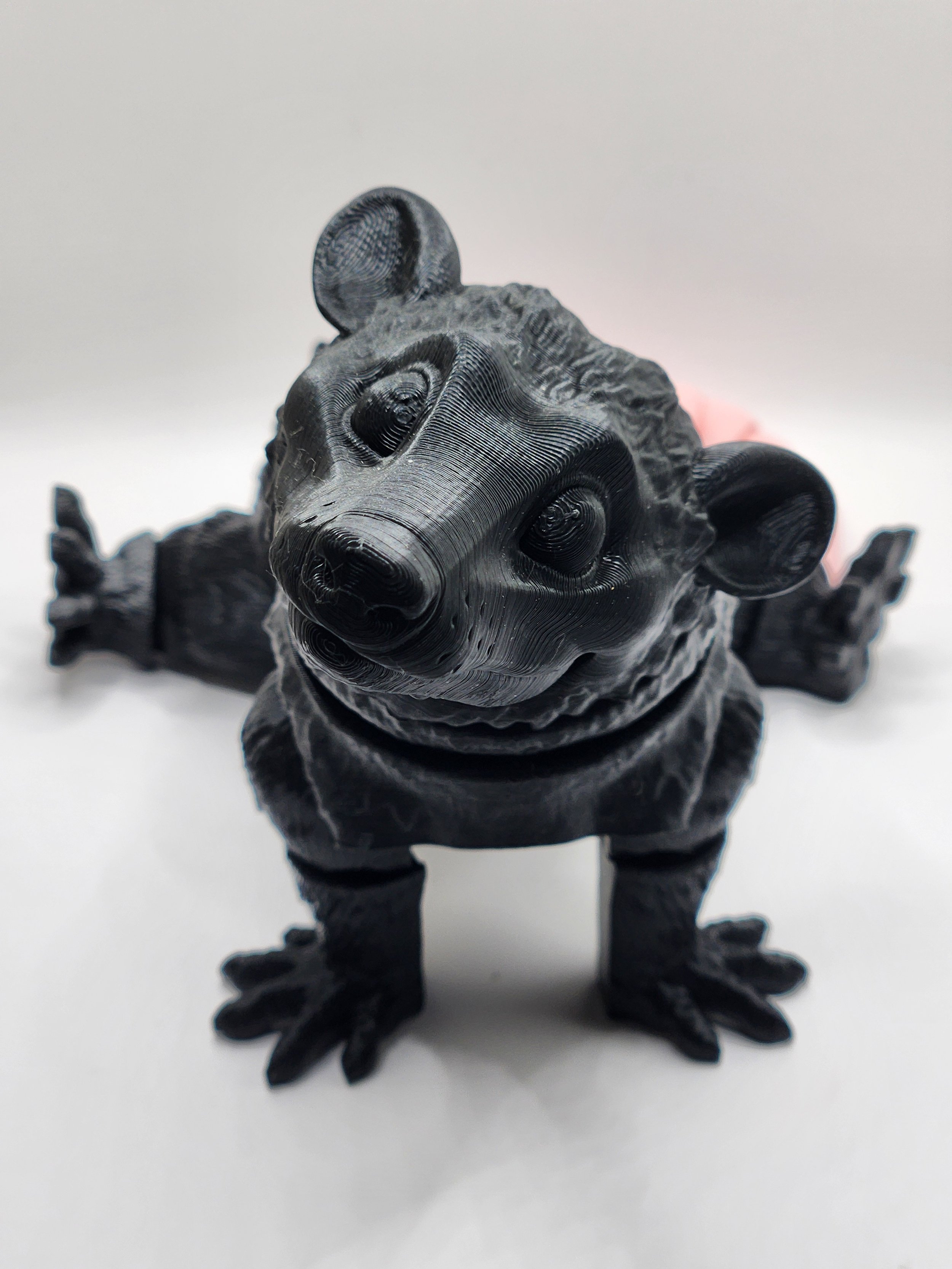 Opossum 3.jpg