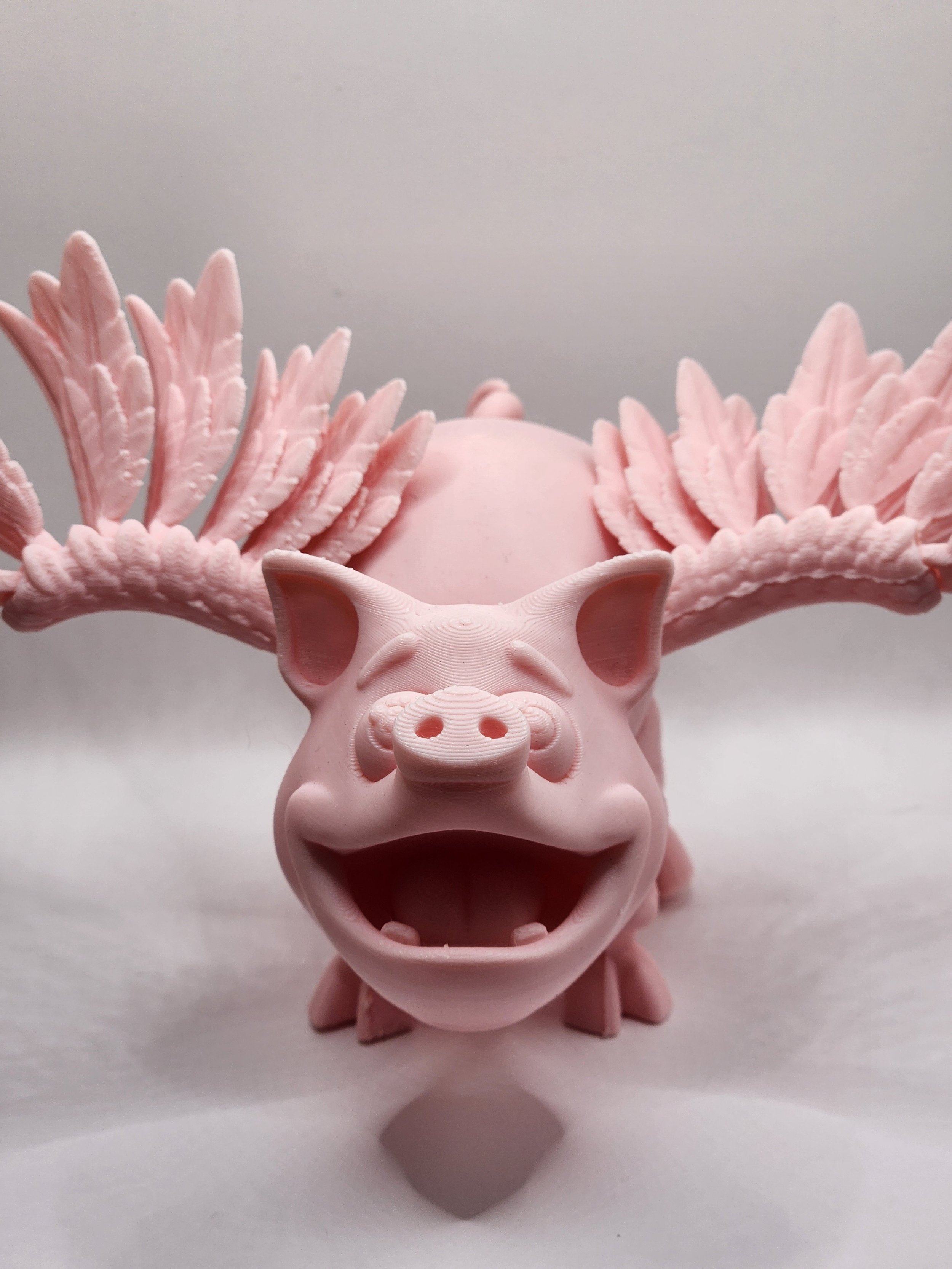 Flying Pig 2.jpg