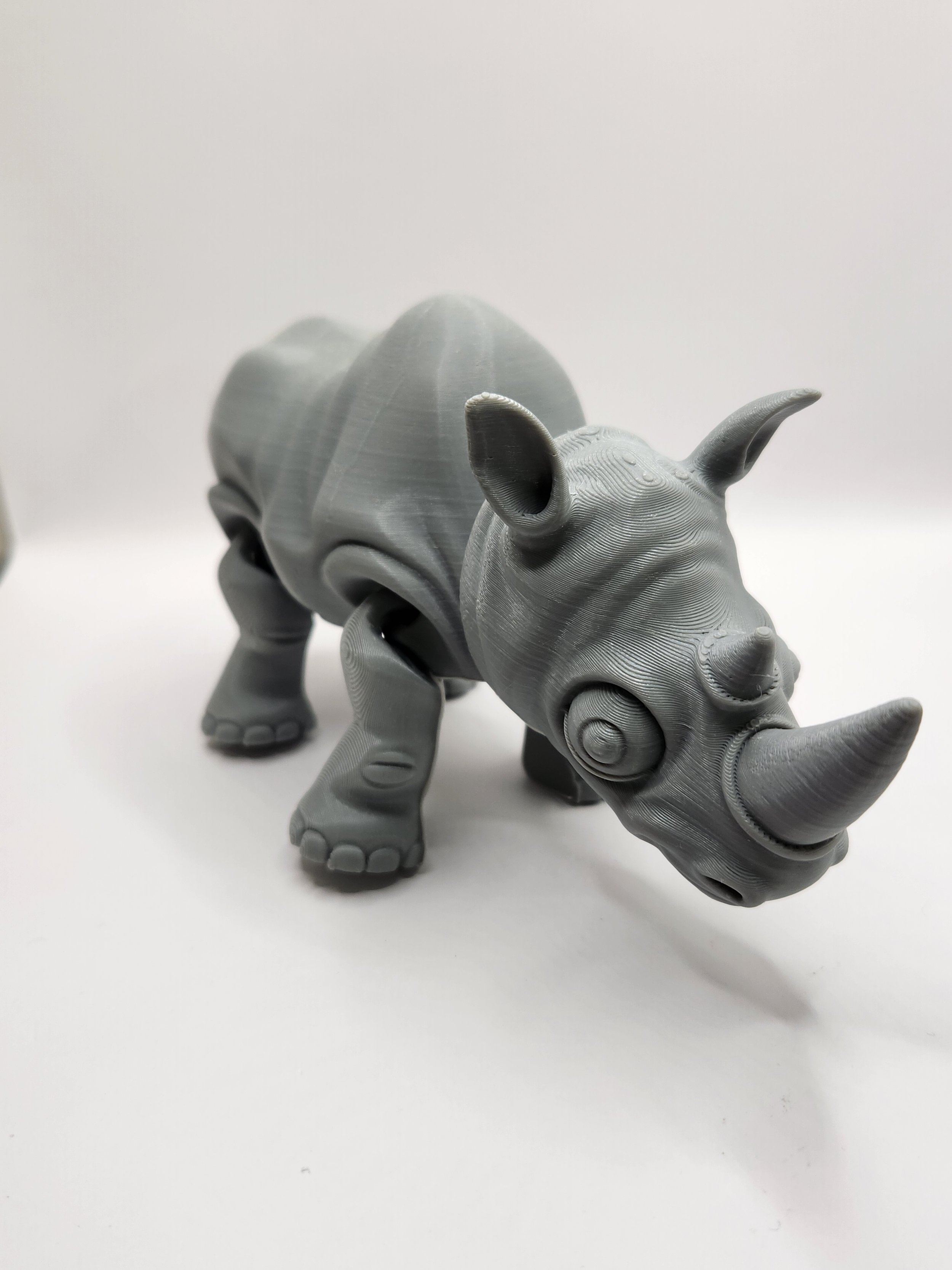 Rino Gray.jpg