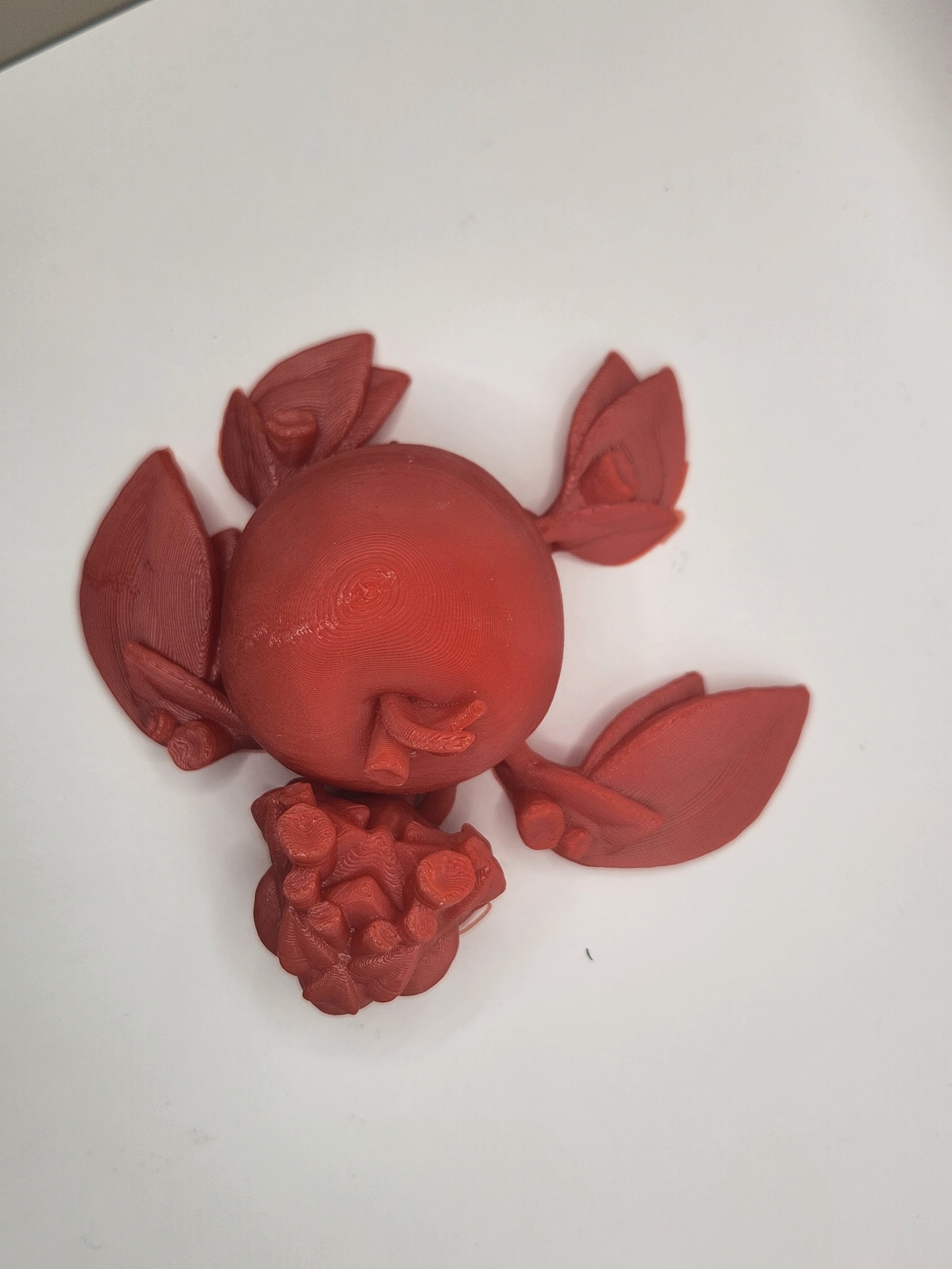 Apple Turtle red top.jpg