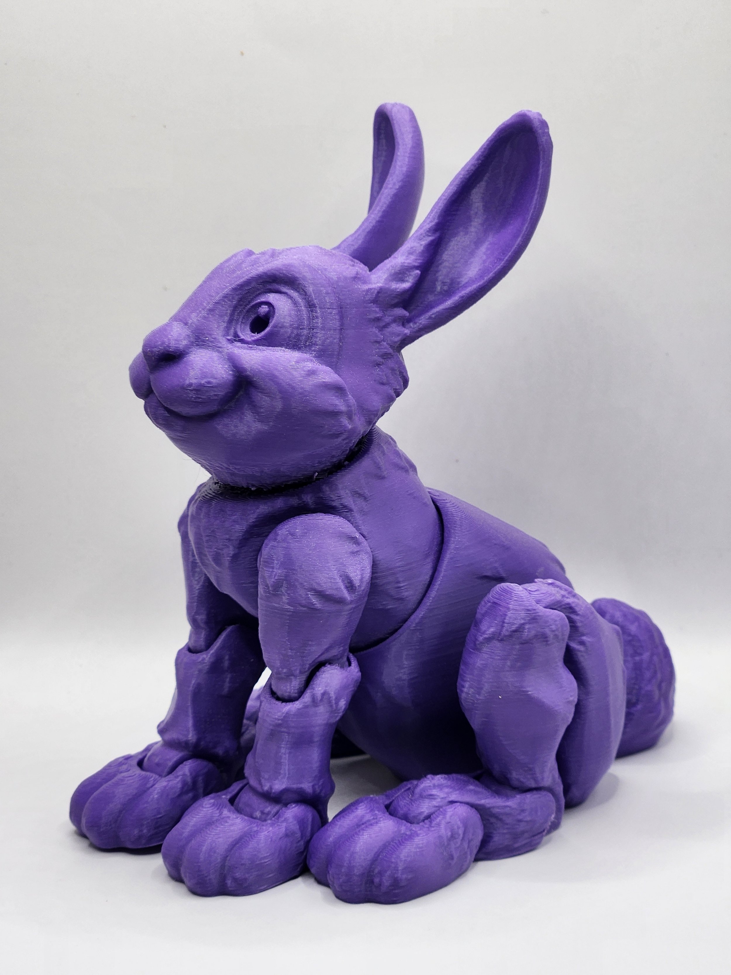 Rabbit 2.jpg