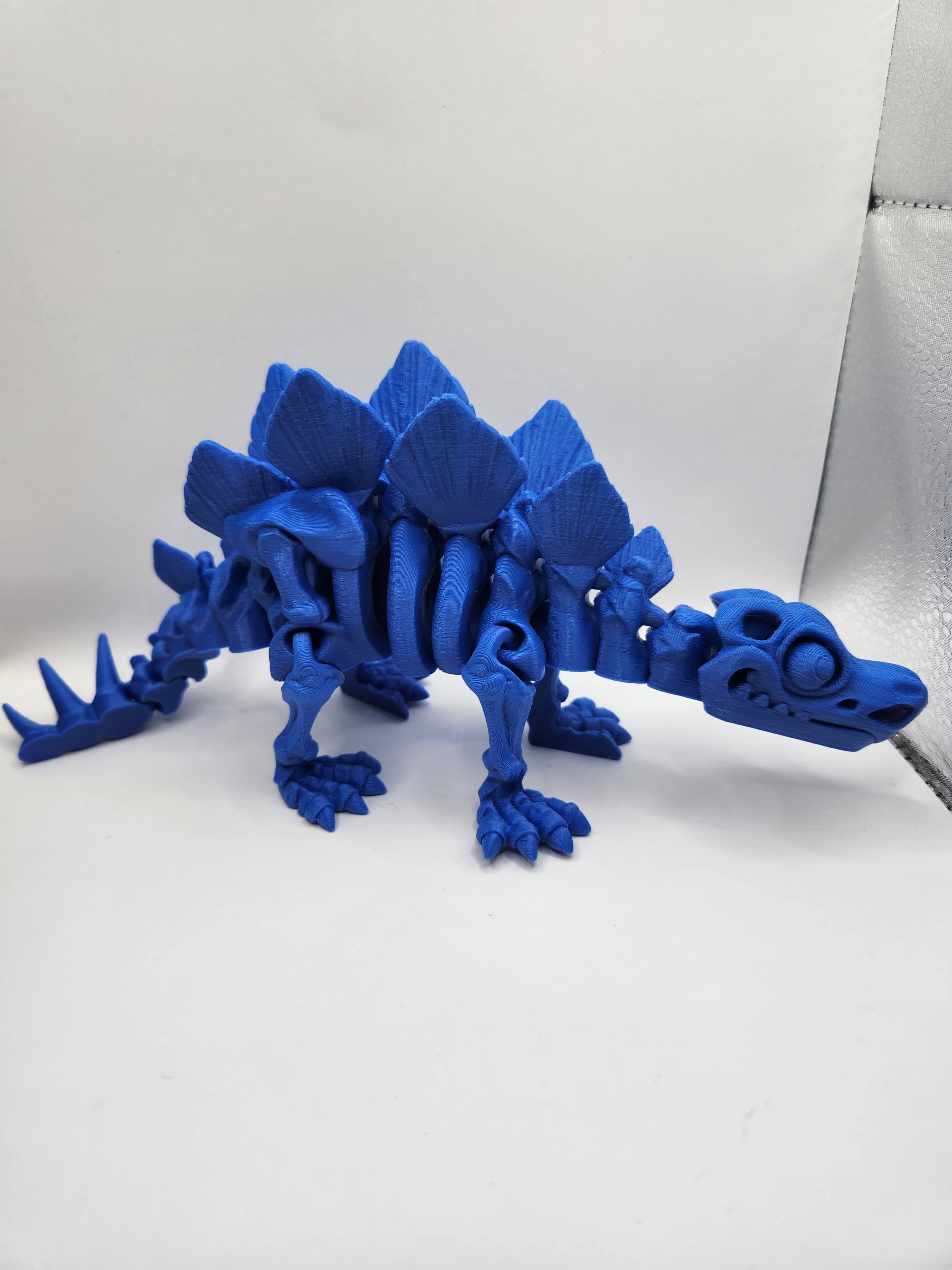 Skeleton Steg blue.jpg
