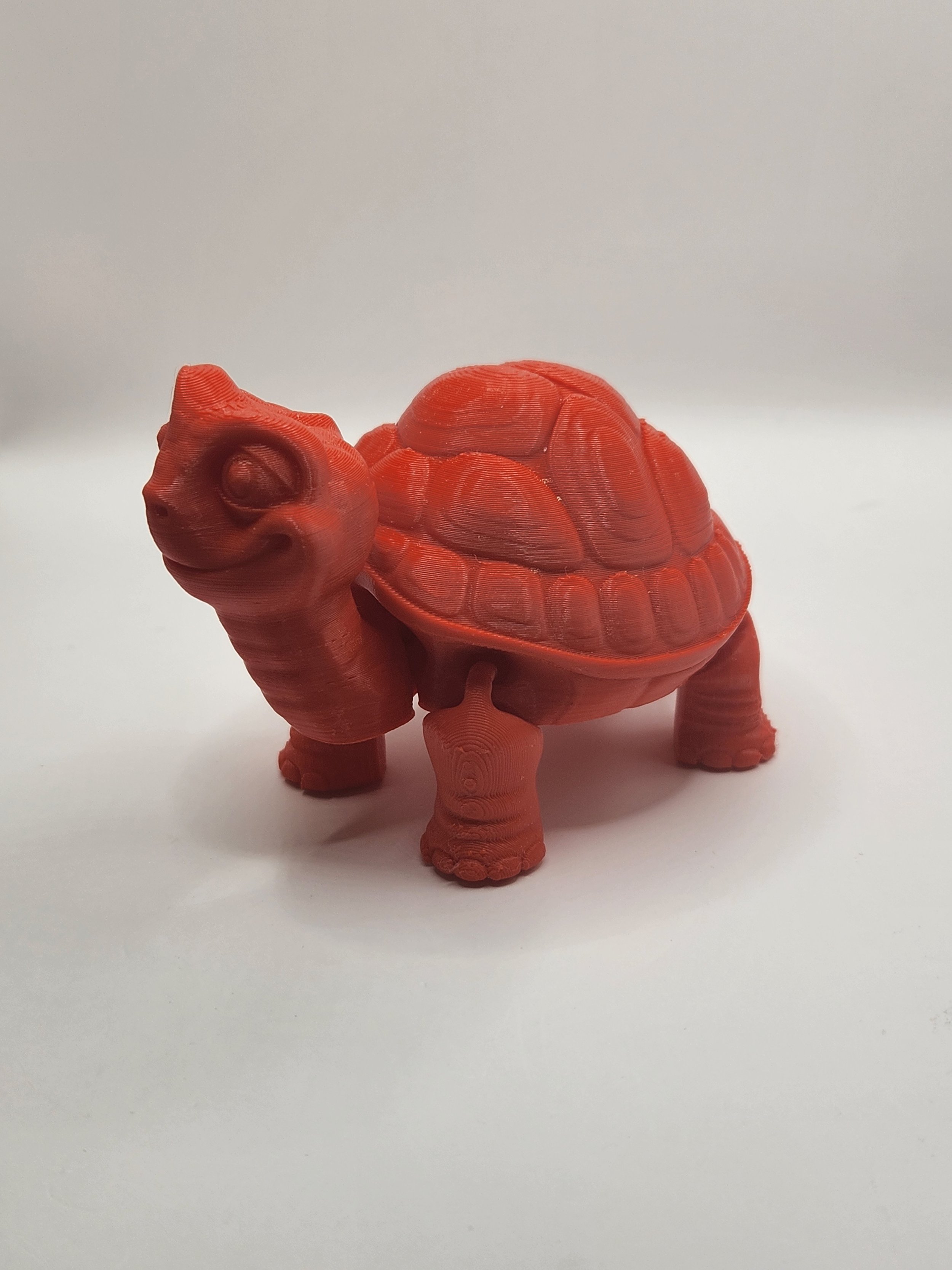 Turtle Red.jpg