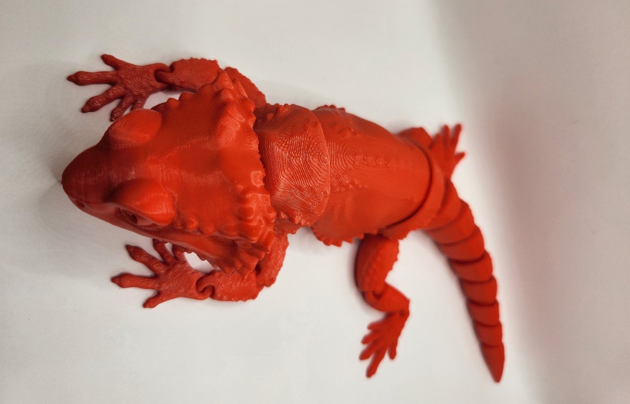 Bearded Dragon.jpg