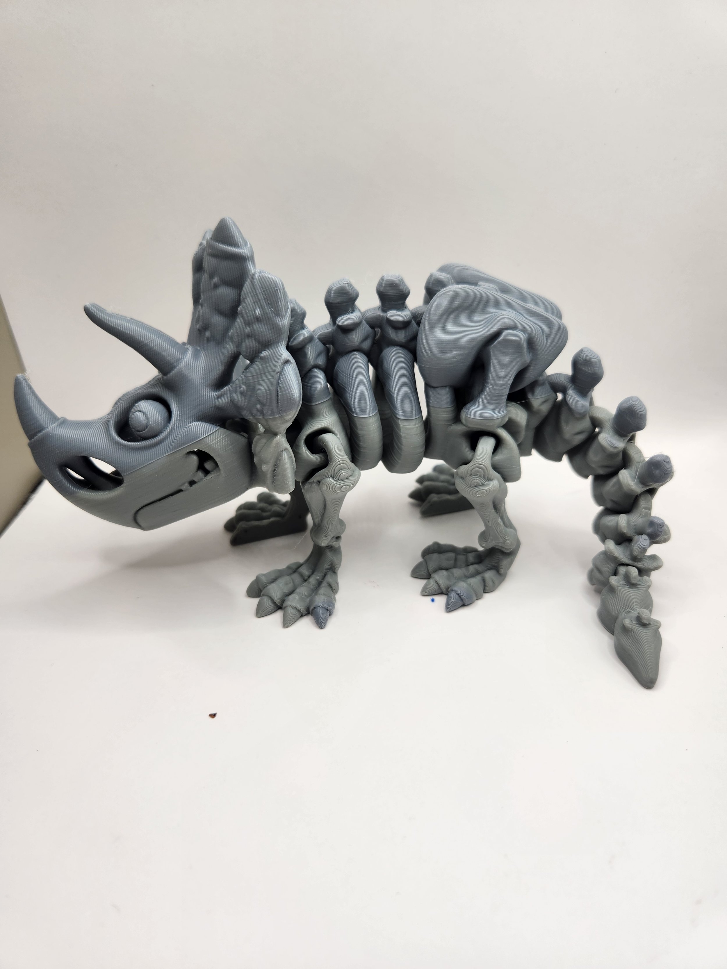 Skeleton triceratops gray.jpg