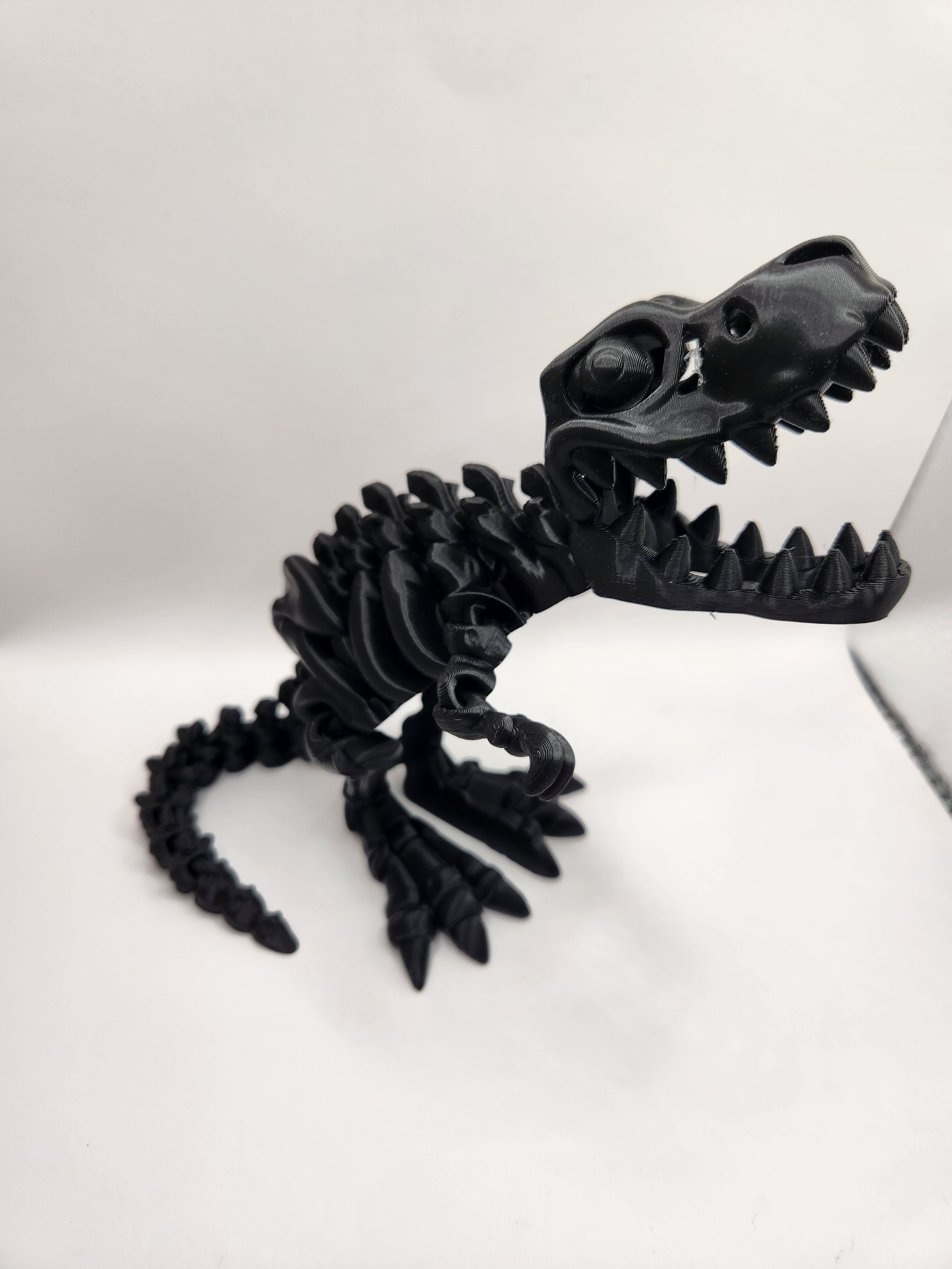 Skeleton t rex black.jpg