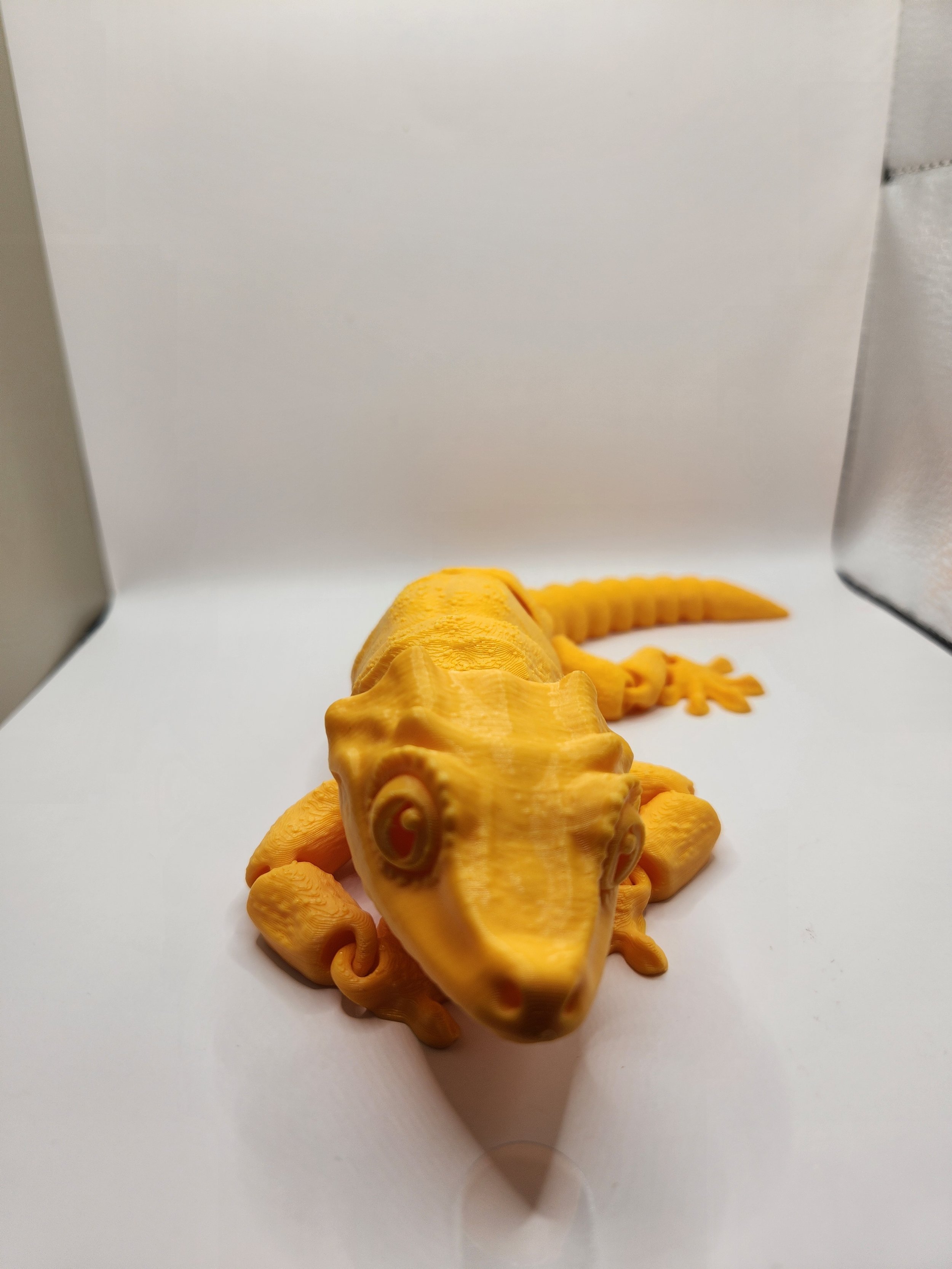 Gecko 2.jpg