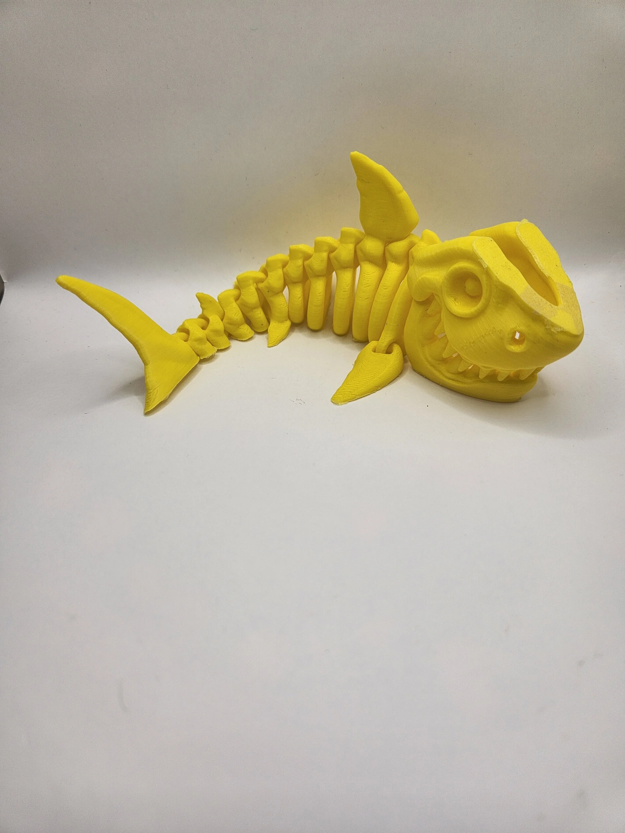 Skeleton shark yellow.jpg