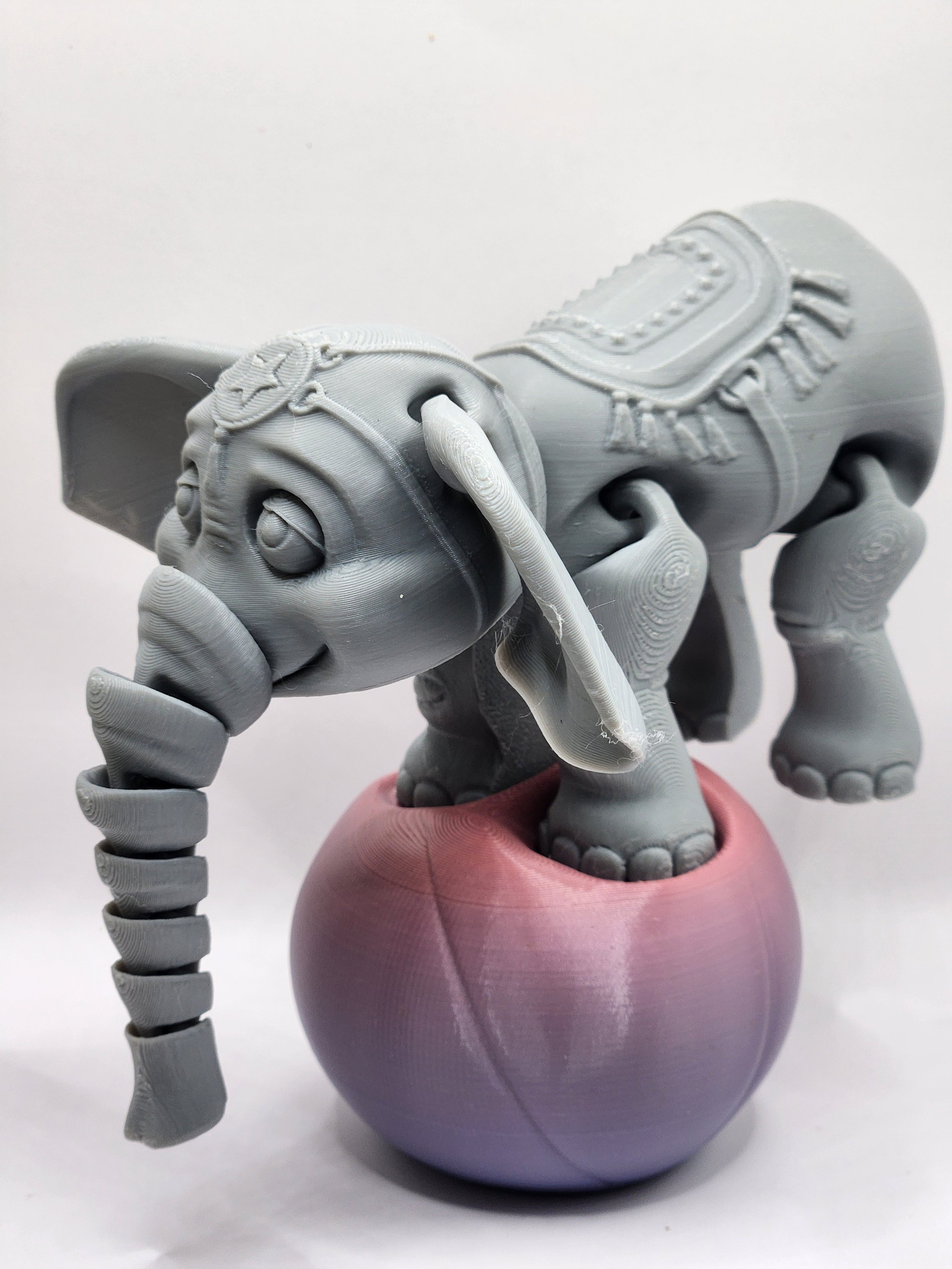 Elephant with ball 3.jpg