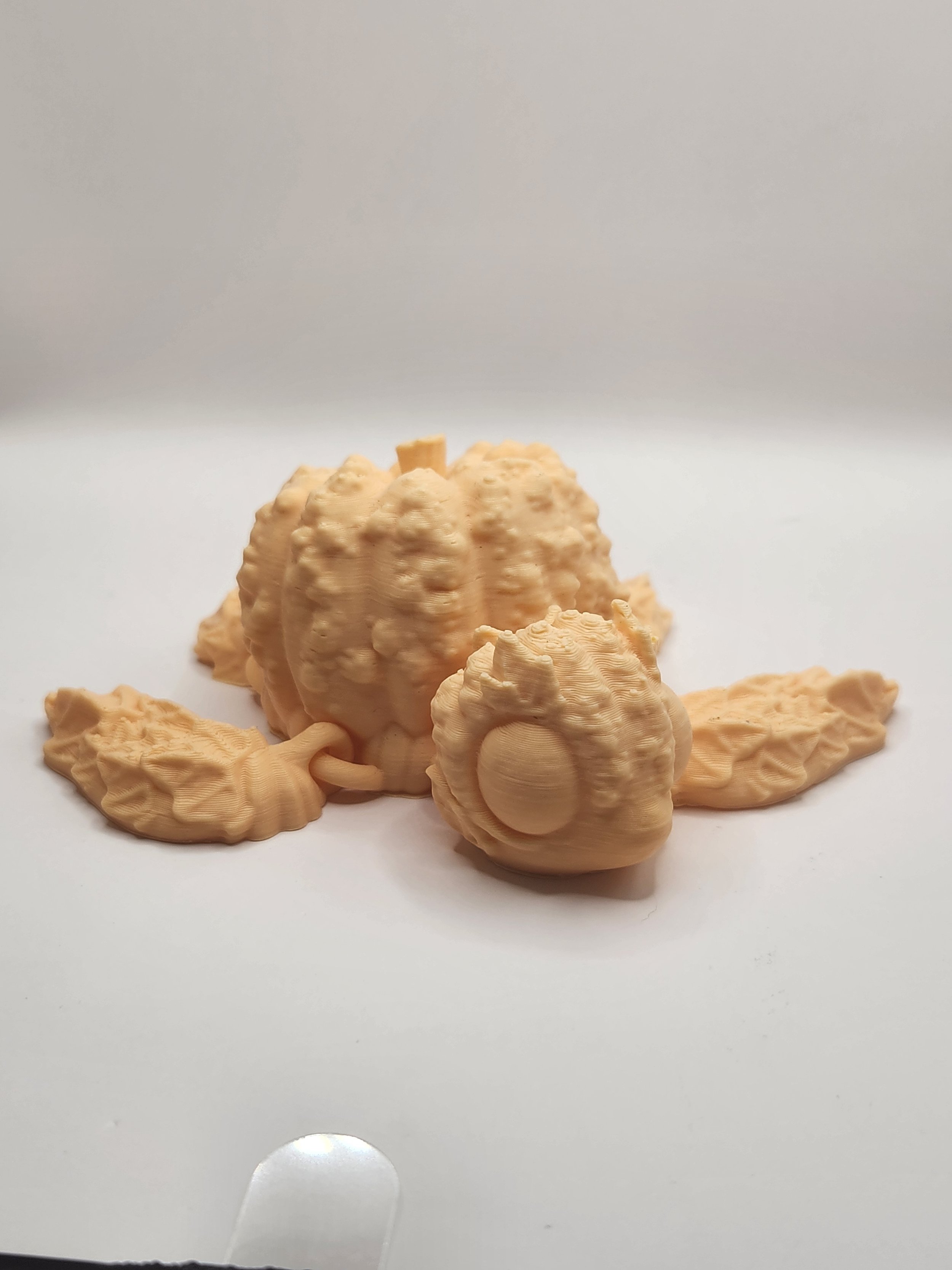 Bumpkin Turtle cream.jpg