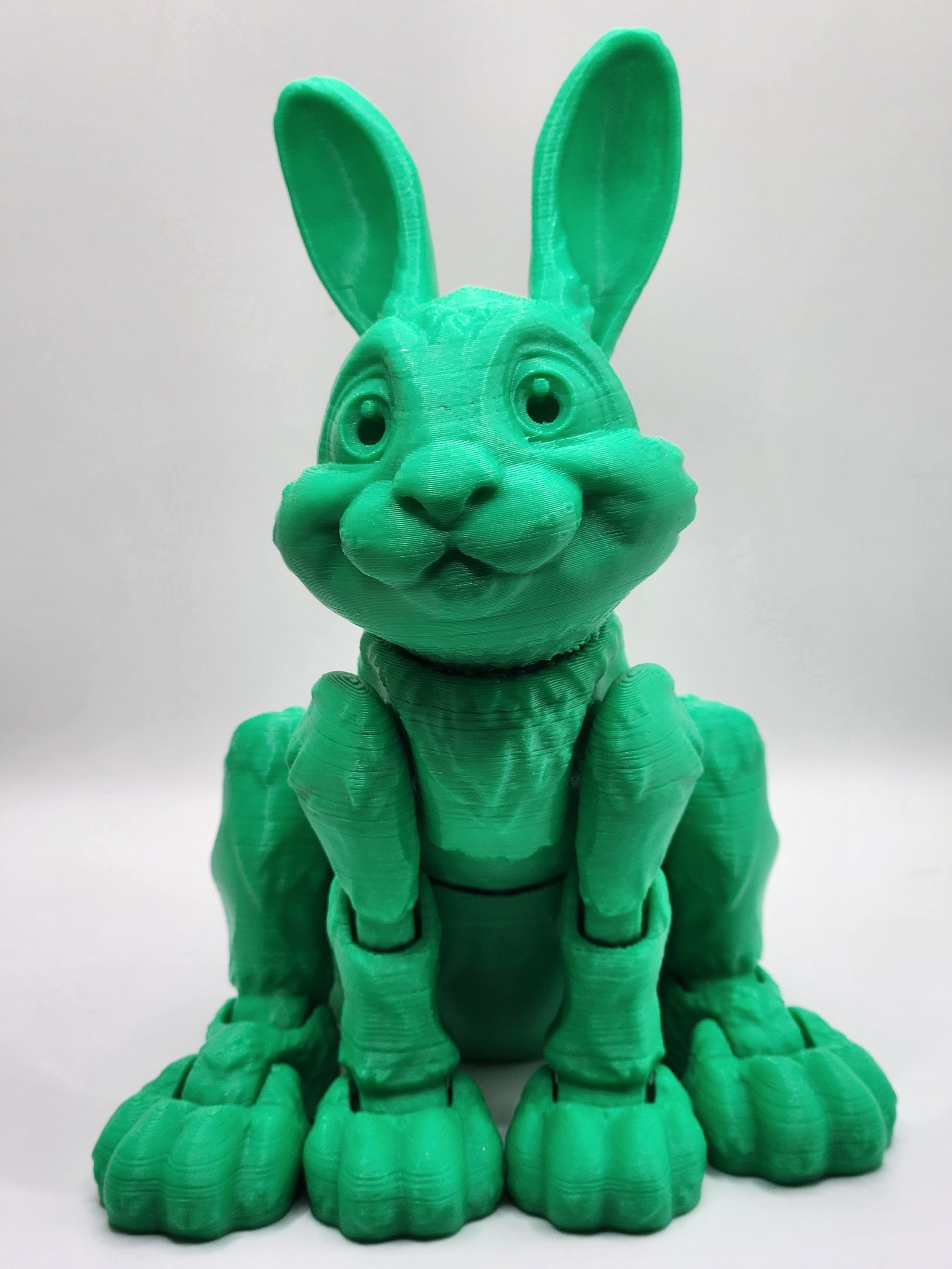 Rabbit 3.jpg