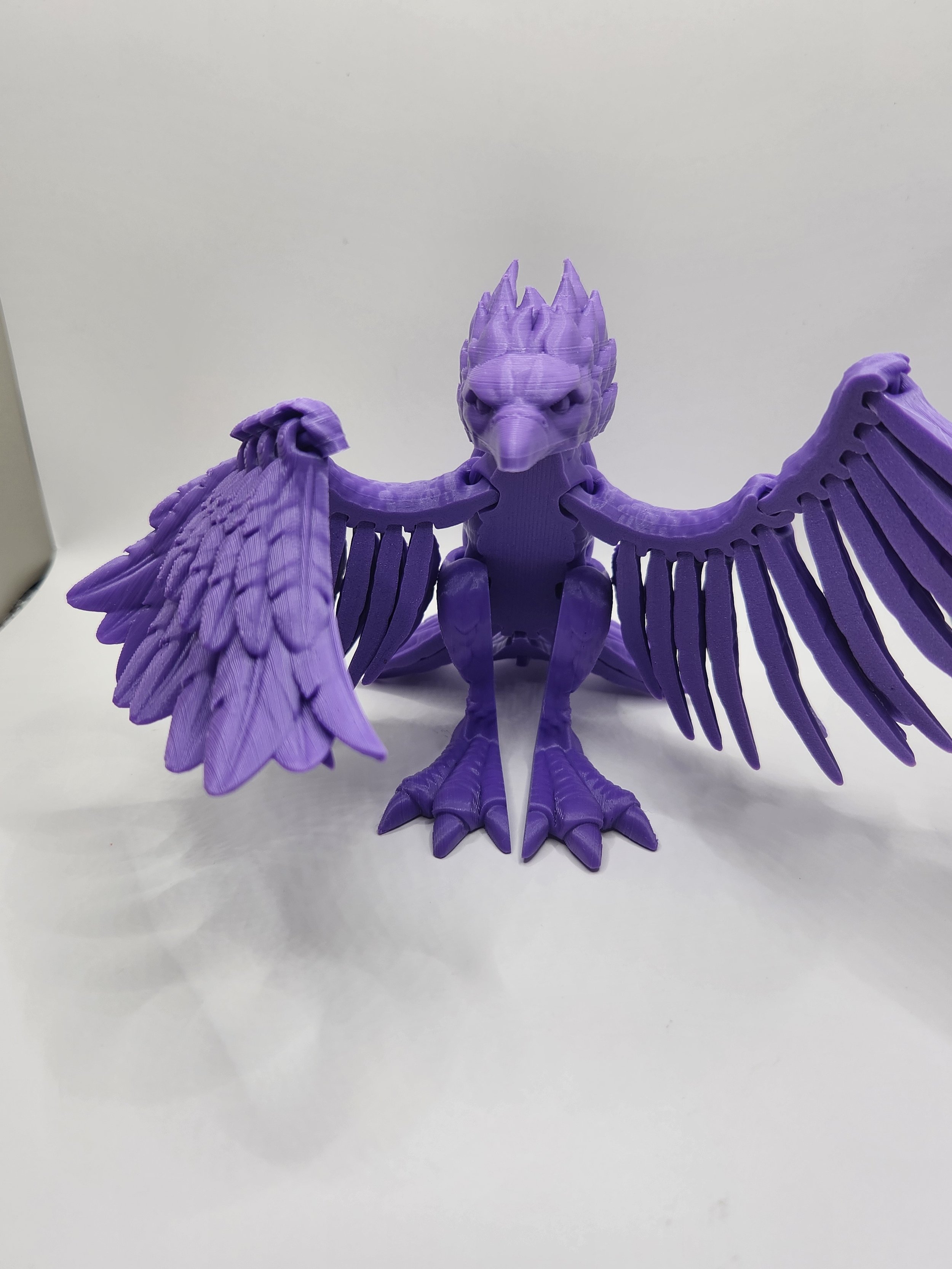 Phoenix .jpg