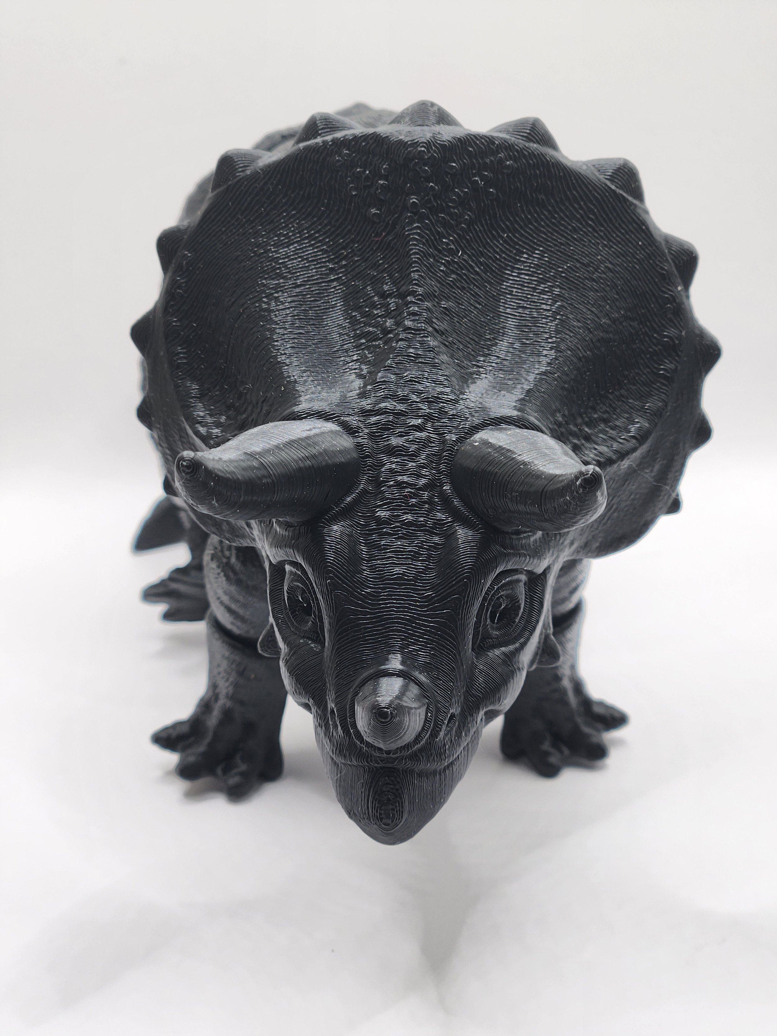 Triceratops Med.jpg