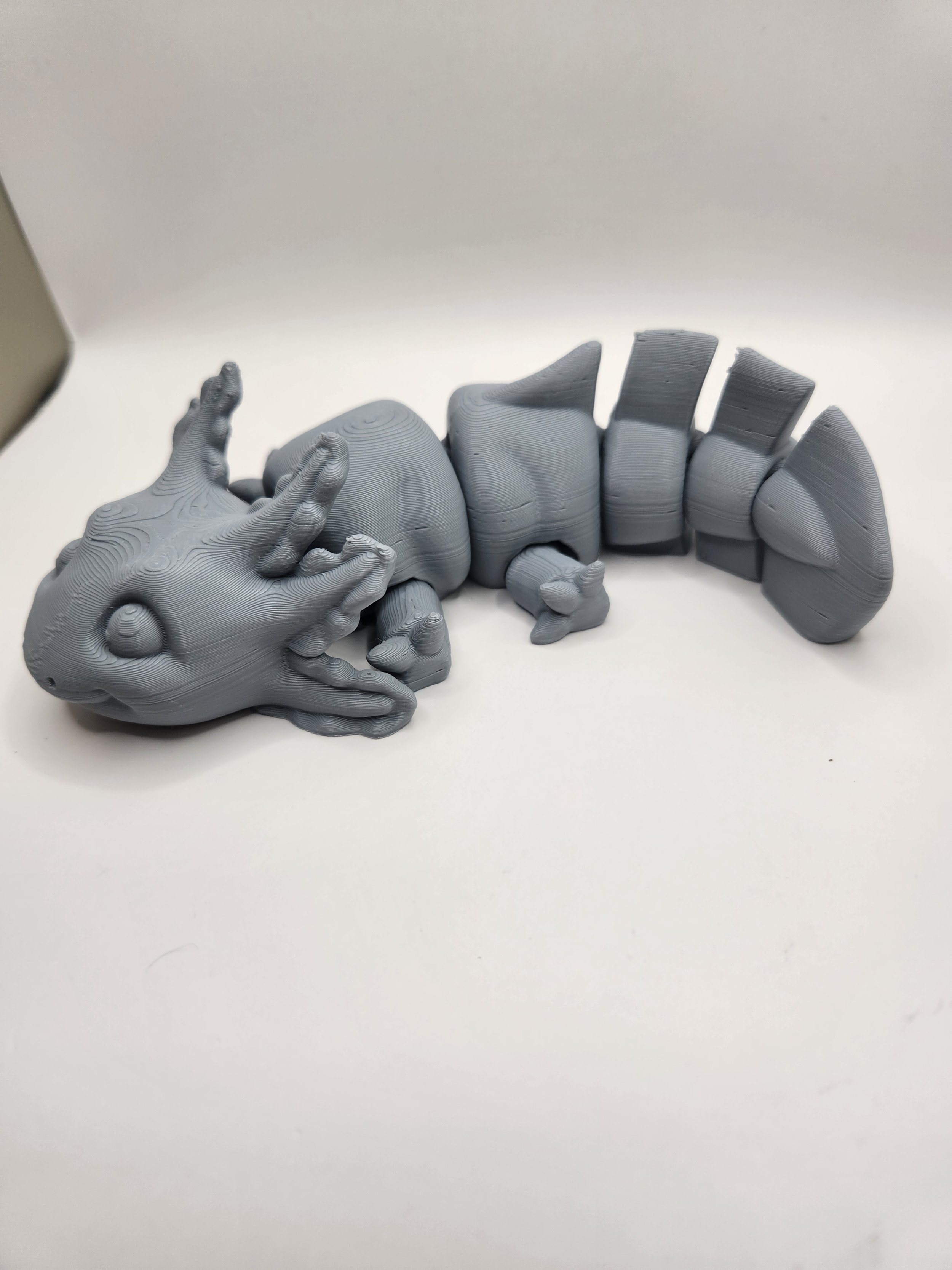 Baby Axolotol gray.jpg