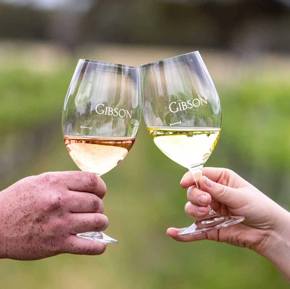 Gibson Wines