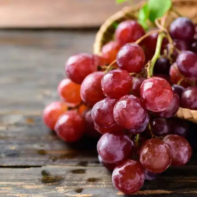 Lazzara Fruits 