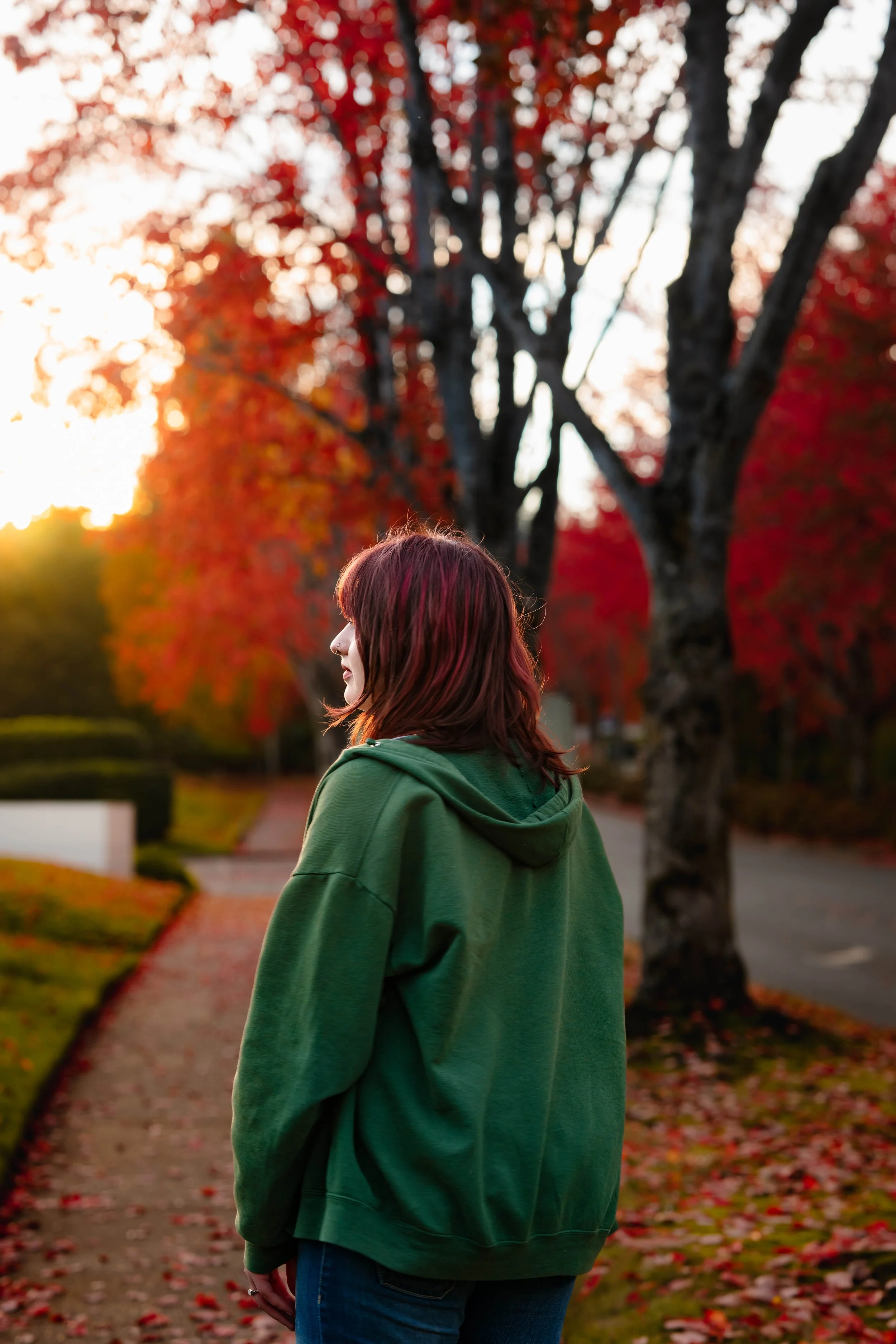 Sanya H Photography, Fall Minis, Bothell, October 2025_2.jpg