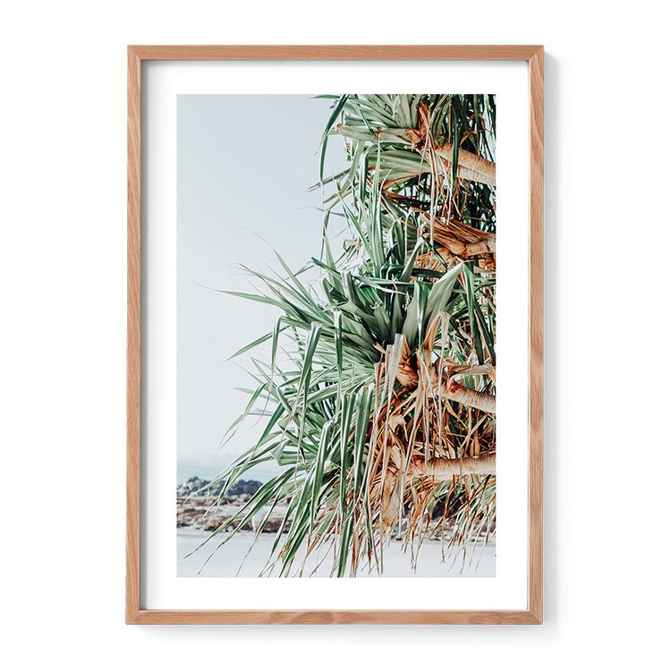 Pandanus_web+frame+matte.jpg